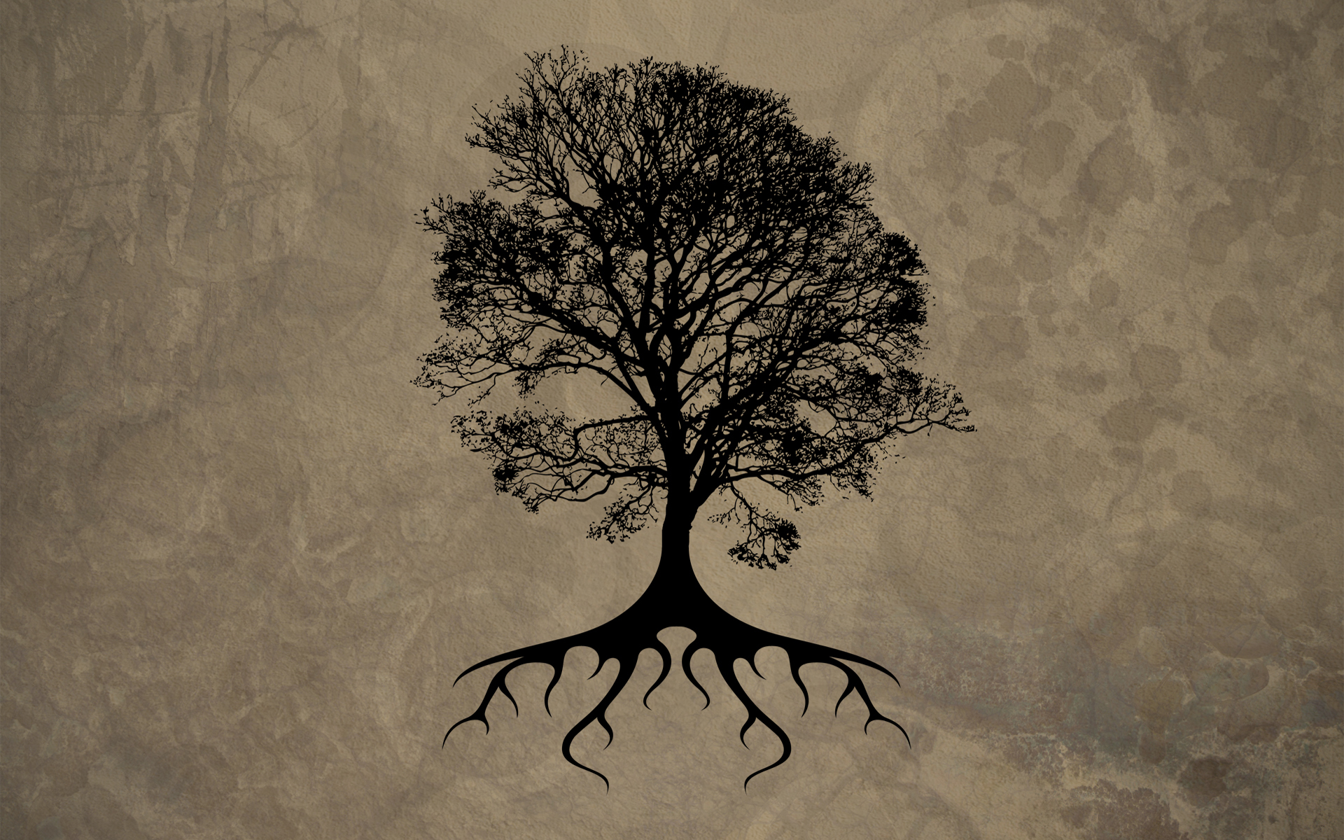 Tree Wallpaper - HD Wallpaper 