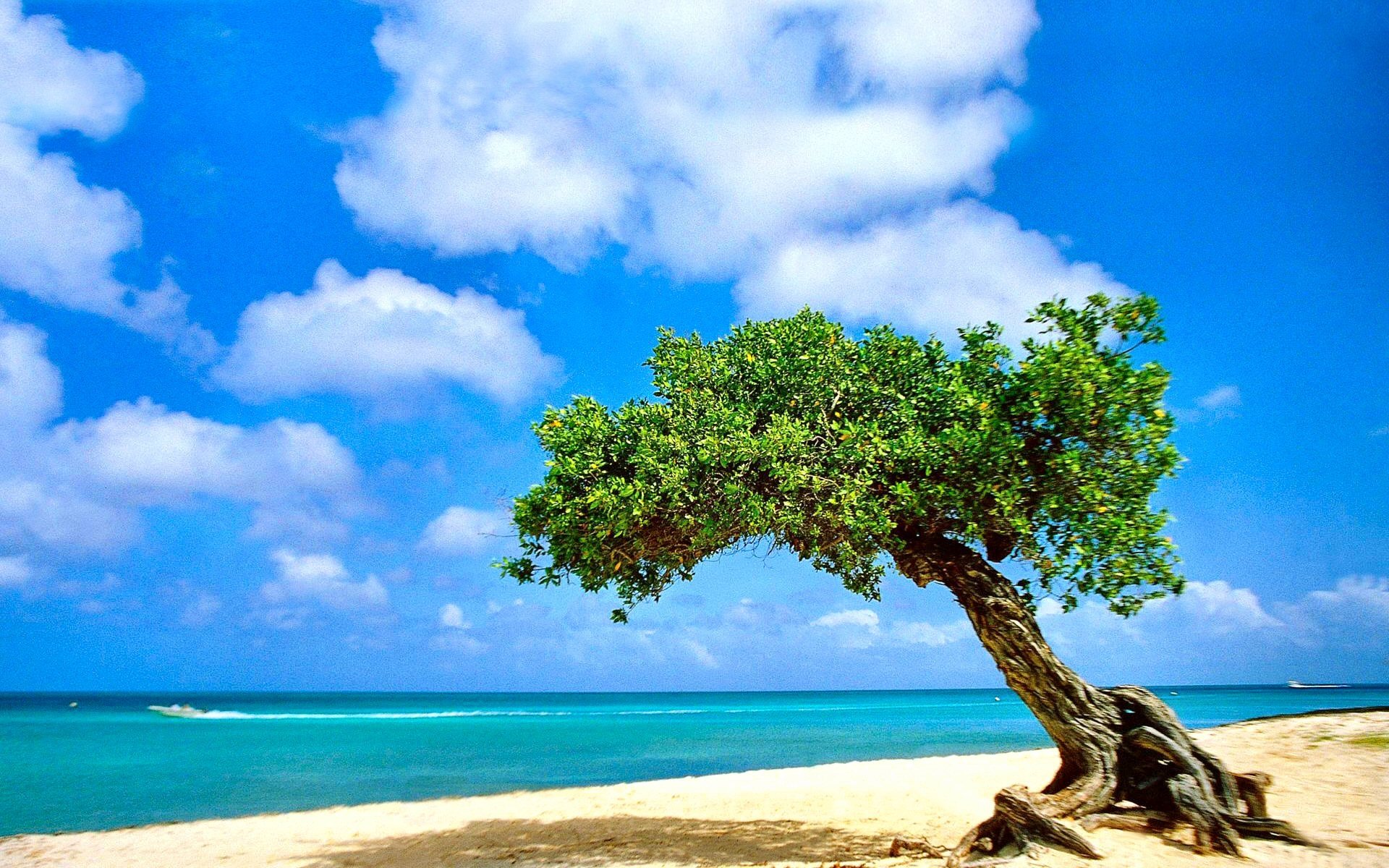 Aruba Wallpaper Hd - HD Wallpaper 