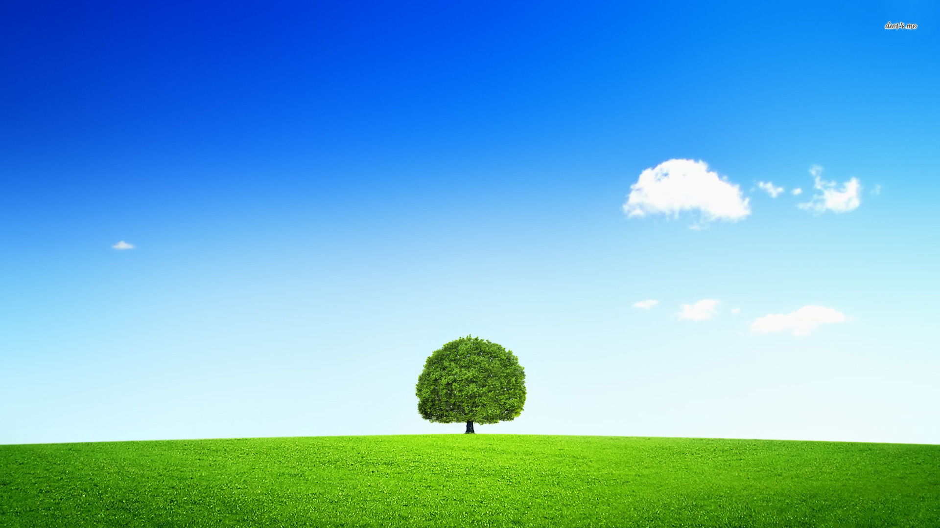 Backgrounds With A Tree - HD Wallpaper 