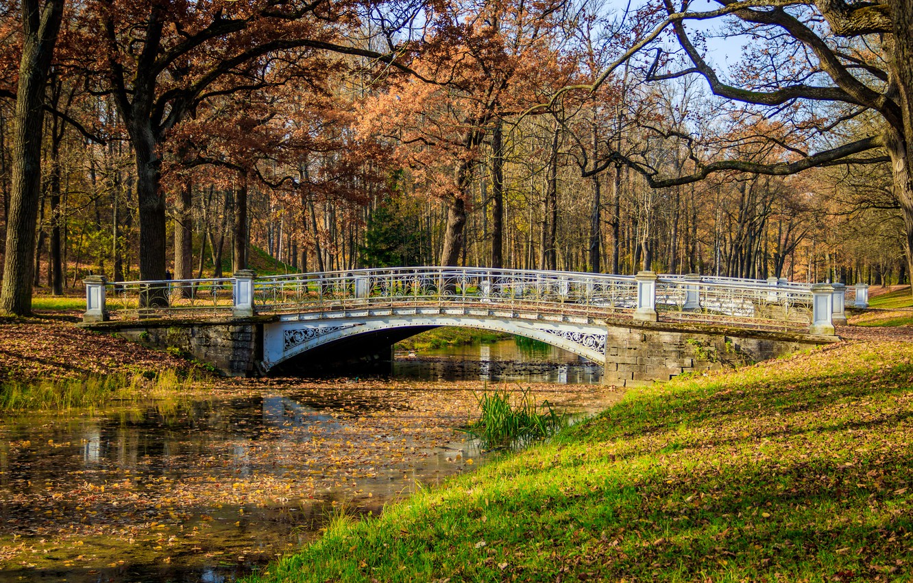 Photo Wallpaper Autumn, Leaves, Trees, Bridge, Park, - Autumn - HD Wallpaper 