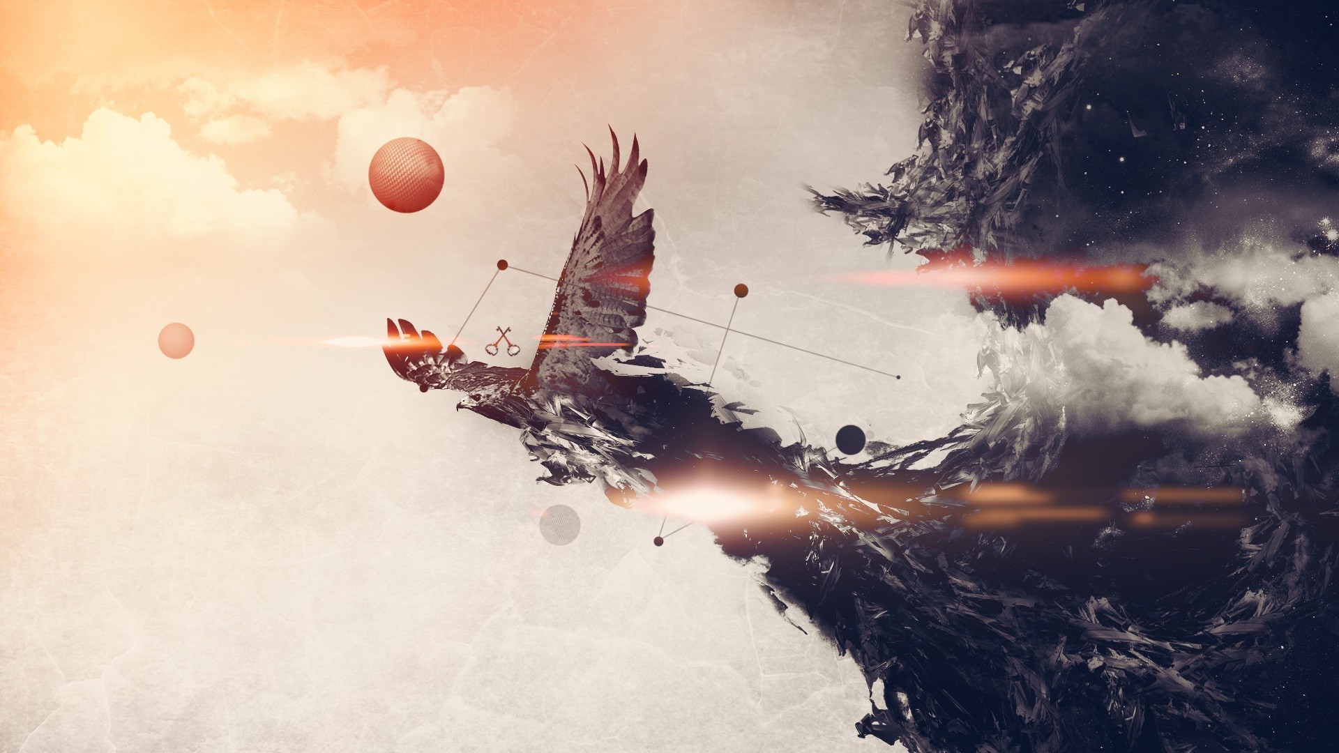 Abstract Bird Wallpapers Images On Wallpaper Hd 1920 - Eagle Wallpaper Abstract - HD Wallpaper 