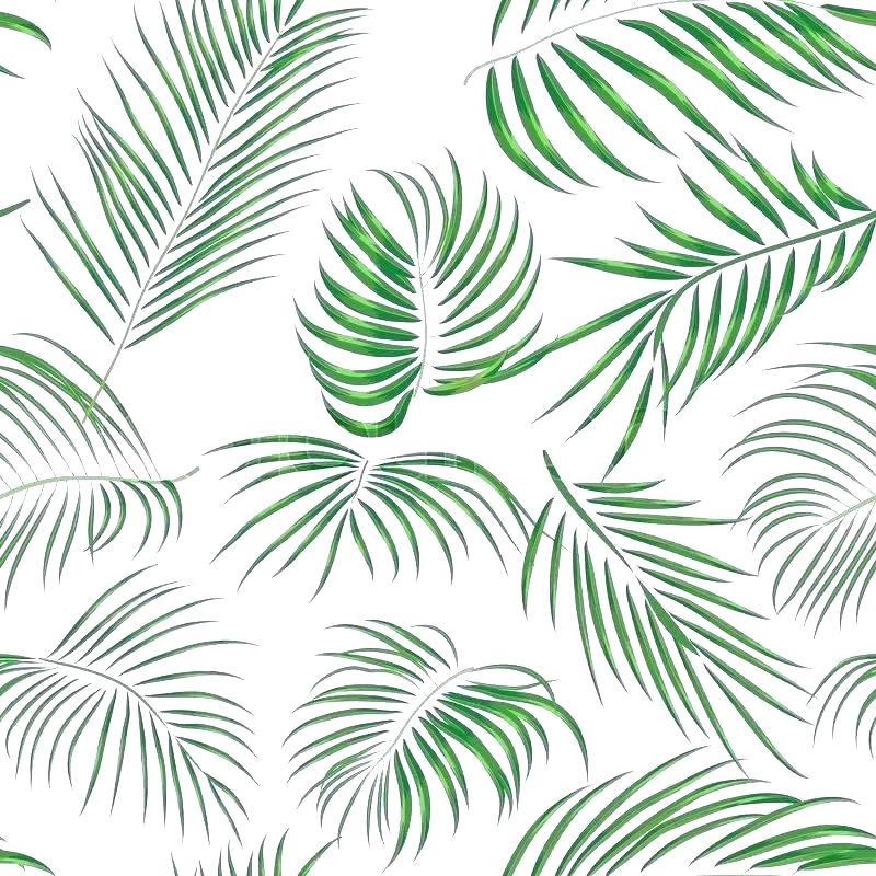 Tropical Desktop Leaves - HD Wallpaper 