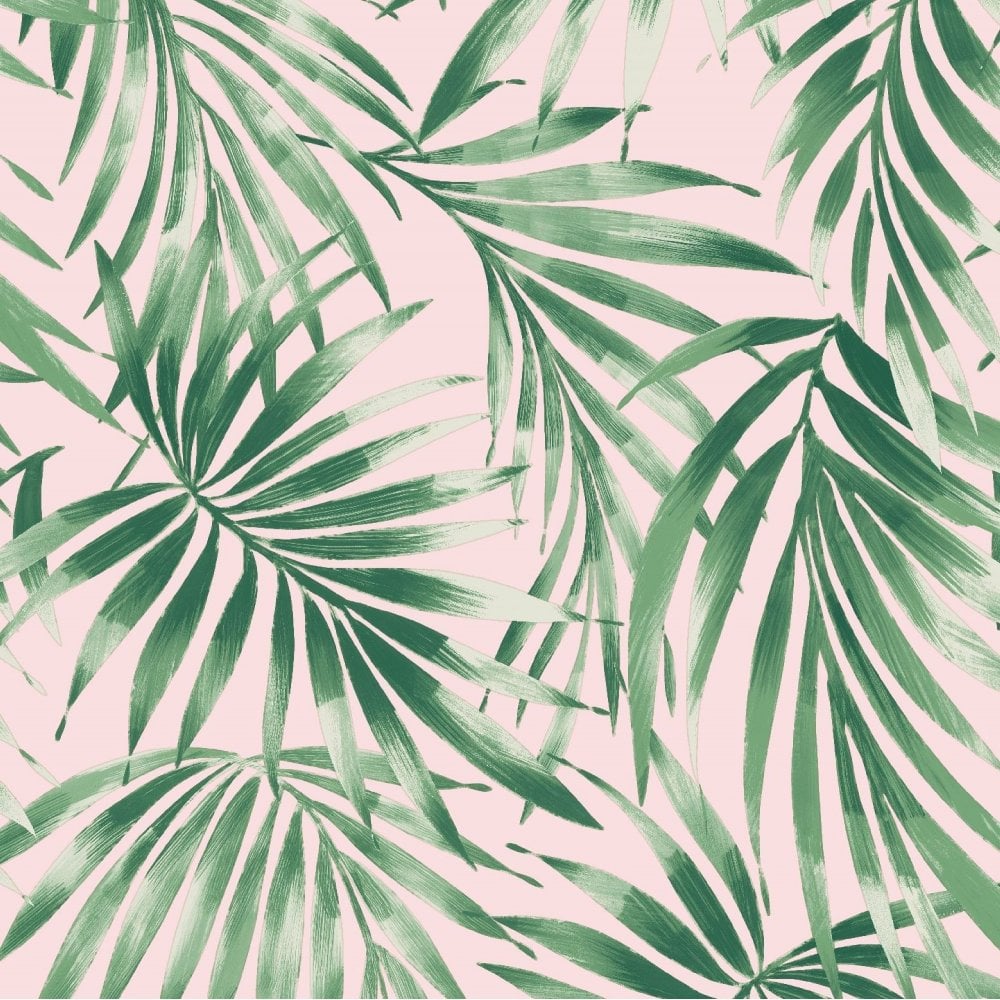 Tropical Wallpaper - HD Wallpaper 