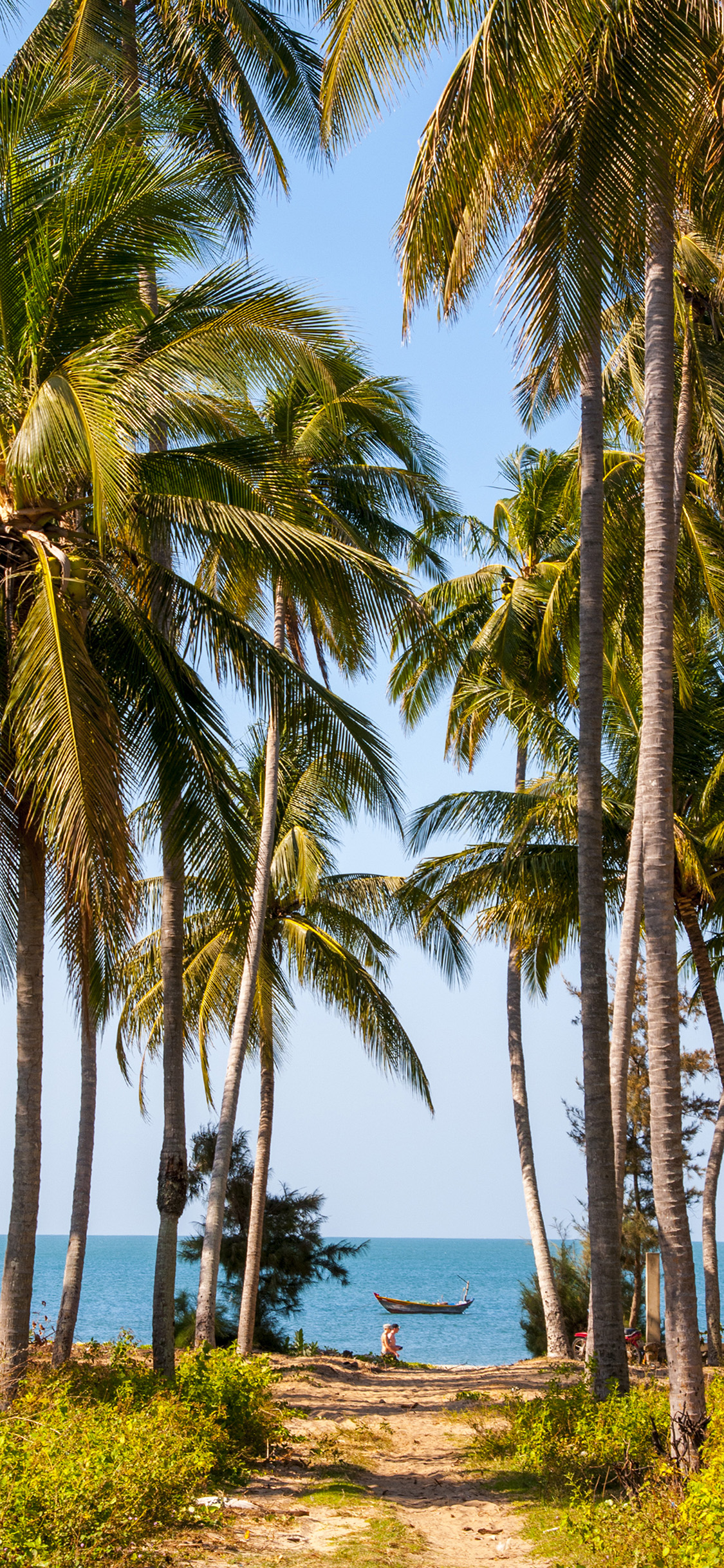 Iphone X Wallpapers Palm Trees - HD Wallpaper 