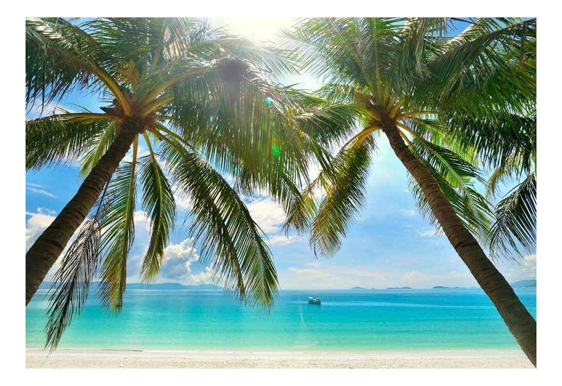 Tropical Wallpaper Palm Trees - HD Wallpaper 
