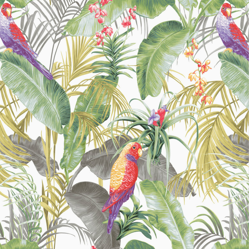 Tropical Art Wall Papaer - HD Wallpaper 