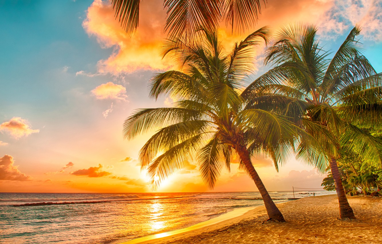 Photo Wallpaper Sand, Sea, Beach, Sunset, Tropics, - Tropical Sunsets On Beaches - HD Wallpaper 