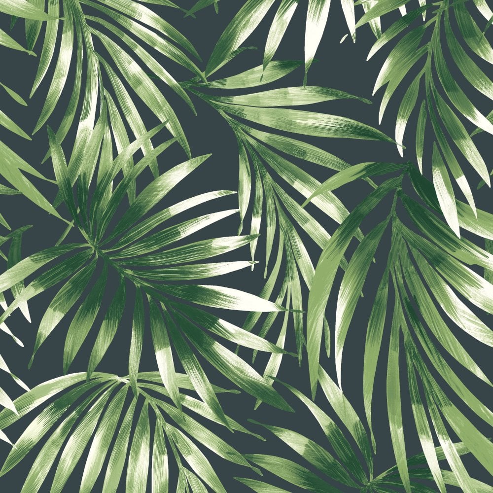 Elegant Leaves - HD Wallpaper 