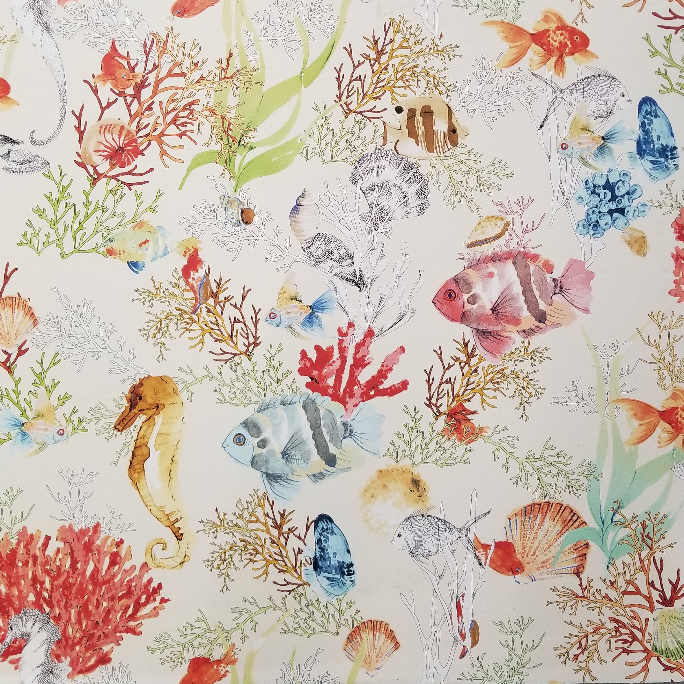 Ventral Coral Wc - Motif - HD Wallpaper 