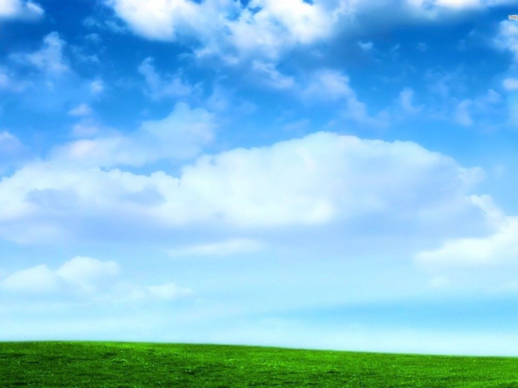 Wallpaper - HD Wallpaper 