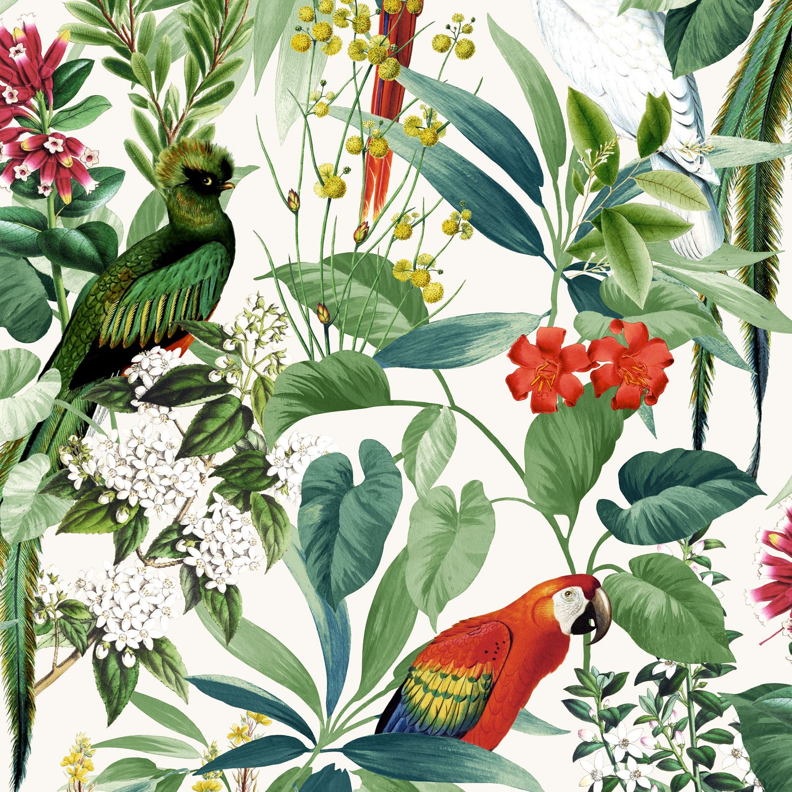 Tropical Birds With Flower - HD Wallpaper 