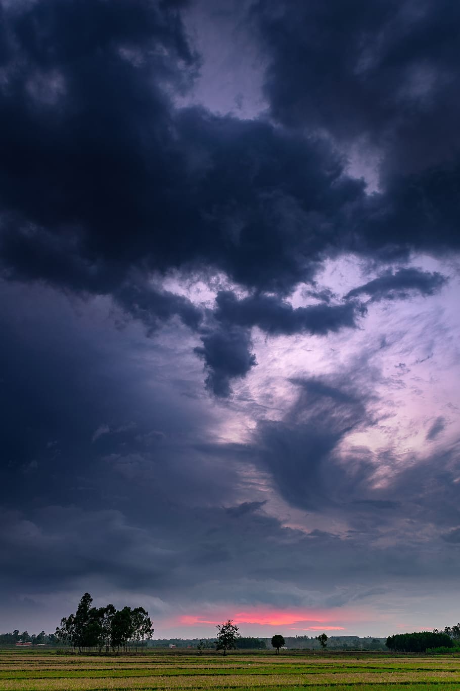 Landscape, Sunset, Evening, Sky, Clouds, Rice, Rice - Field - HD Wallpaper 