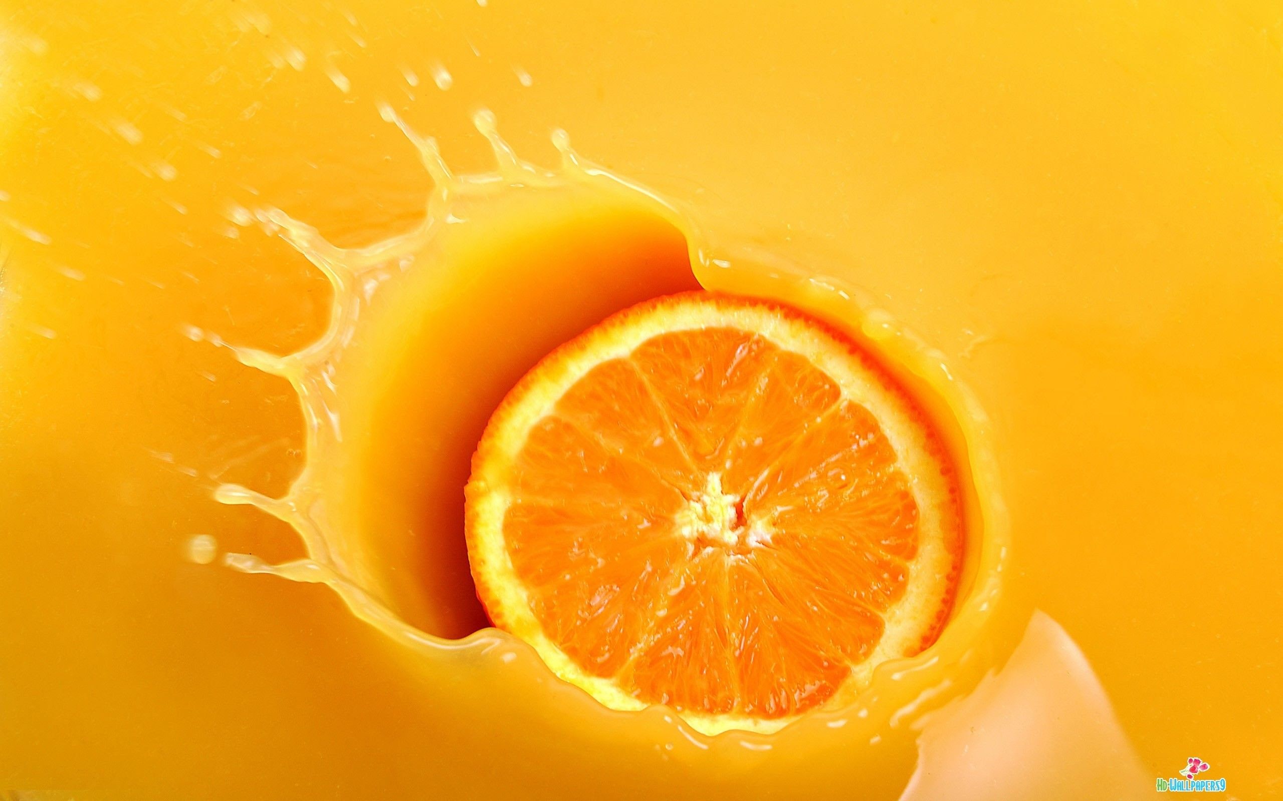 Annoying Orange Wallpapers 
 Data-src /full/743974 - Orange Fruit Wallpaper Hd - HD Wallpaper 