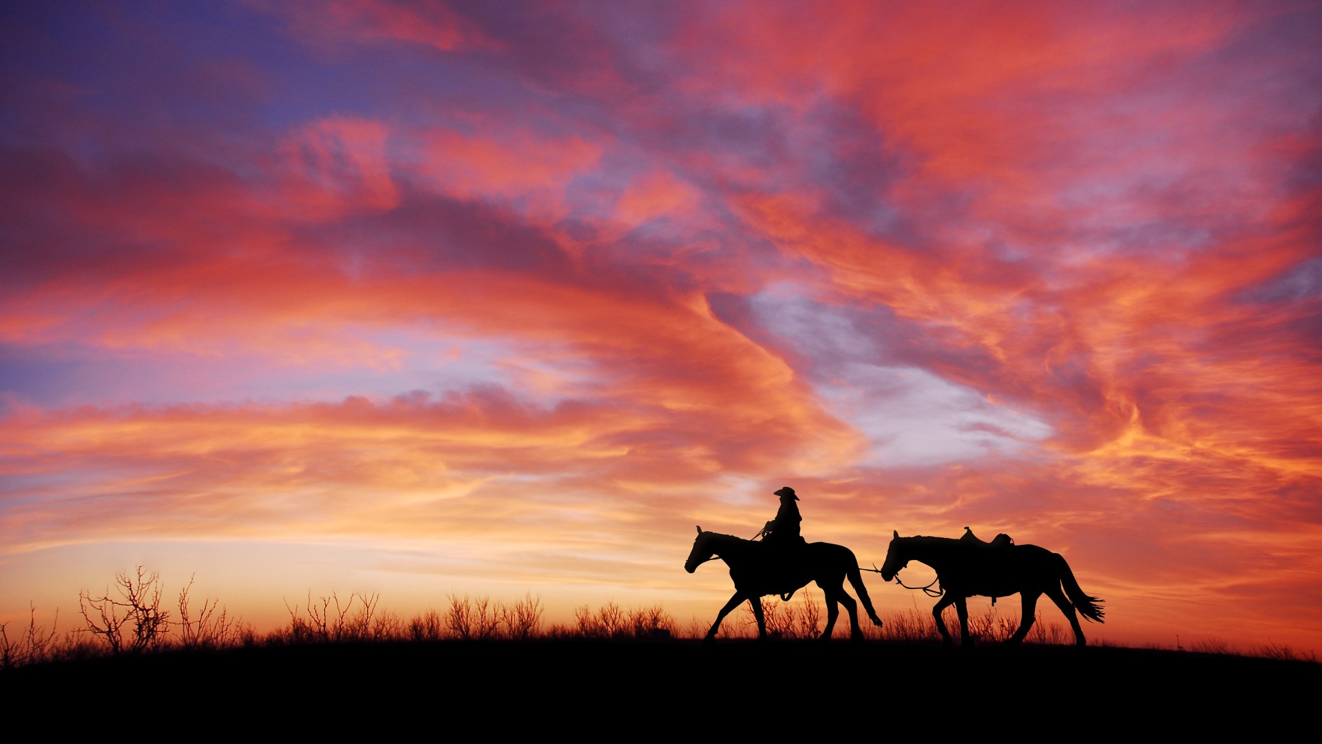 Sunset Horses Wallpaper - National Day Of The Cowboy 2019 - HD Wallpaper 