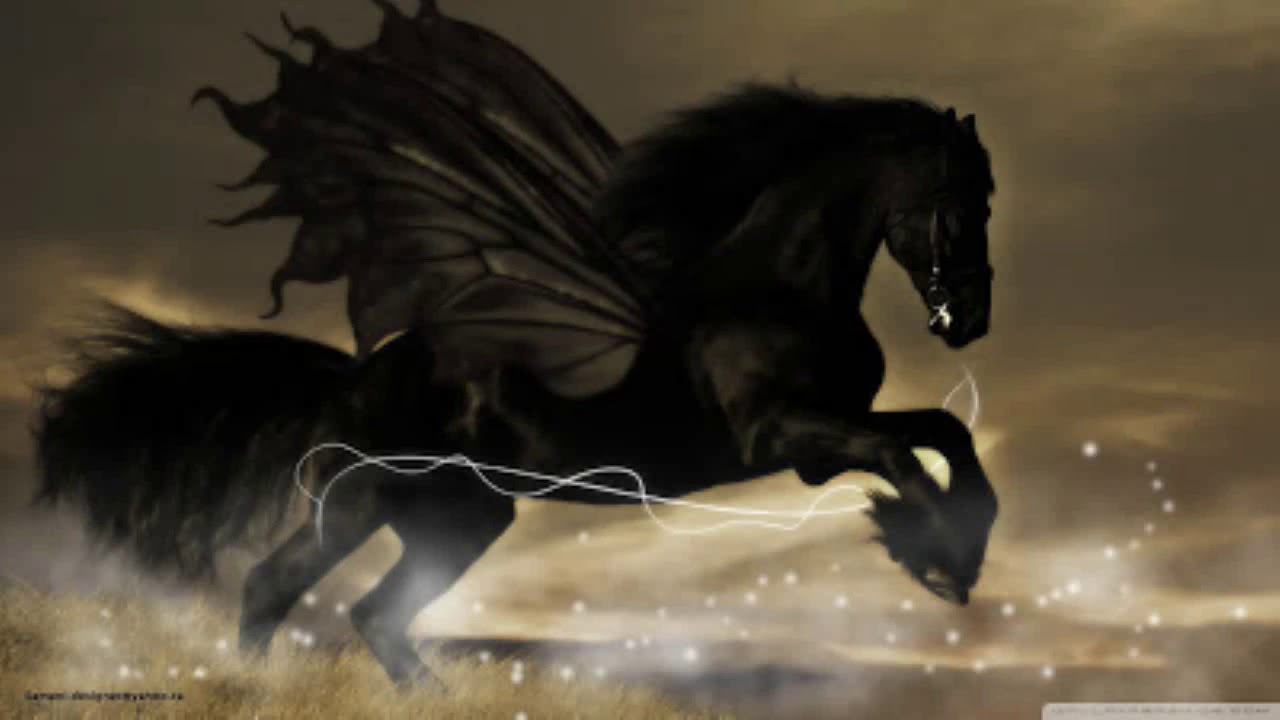 Black Wallpaper Horses - HD Wallpaper 