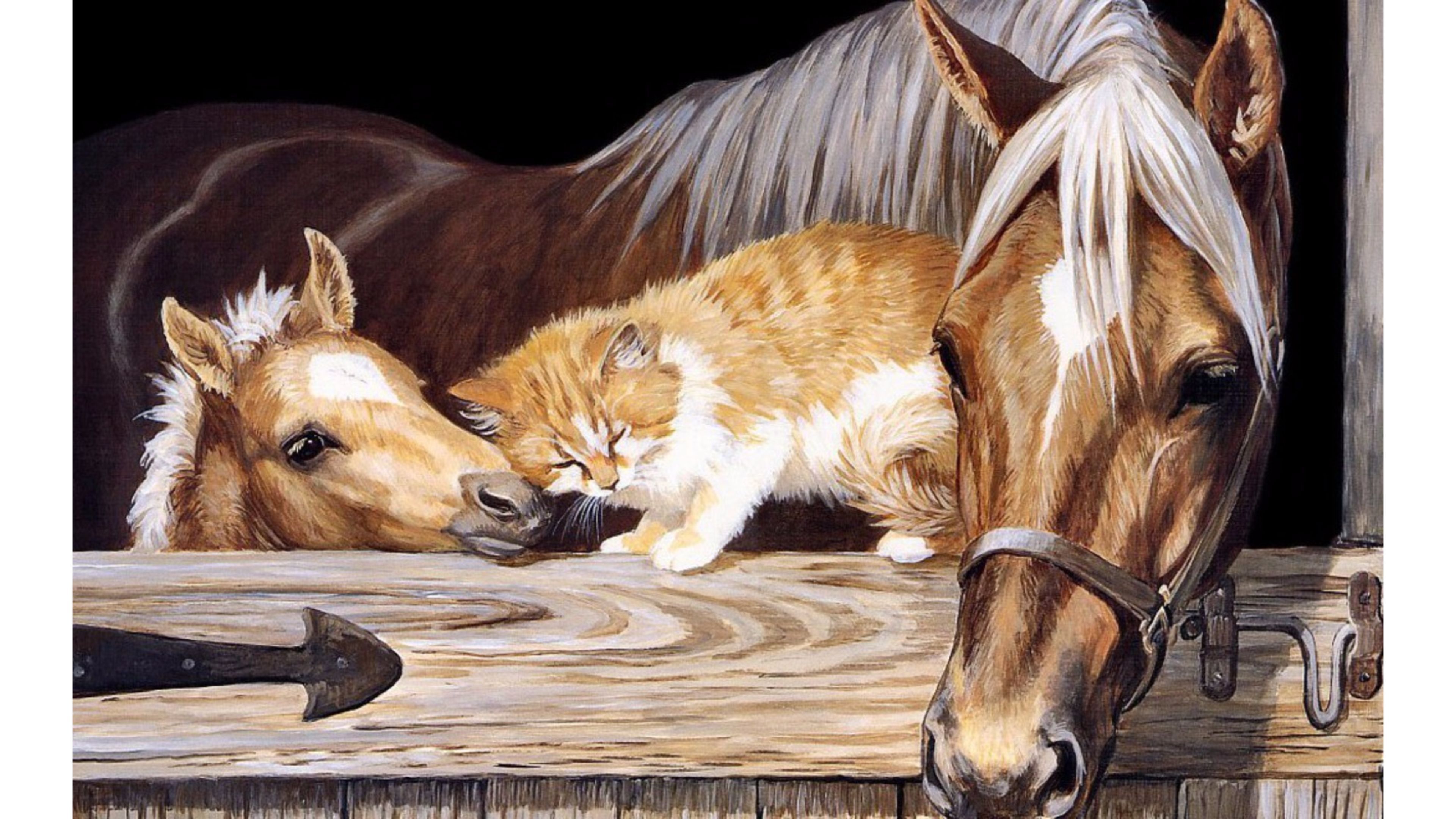 Kitten And Horses 4k Wallpaper - Horse And Cat Background - HD Wallpaper 