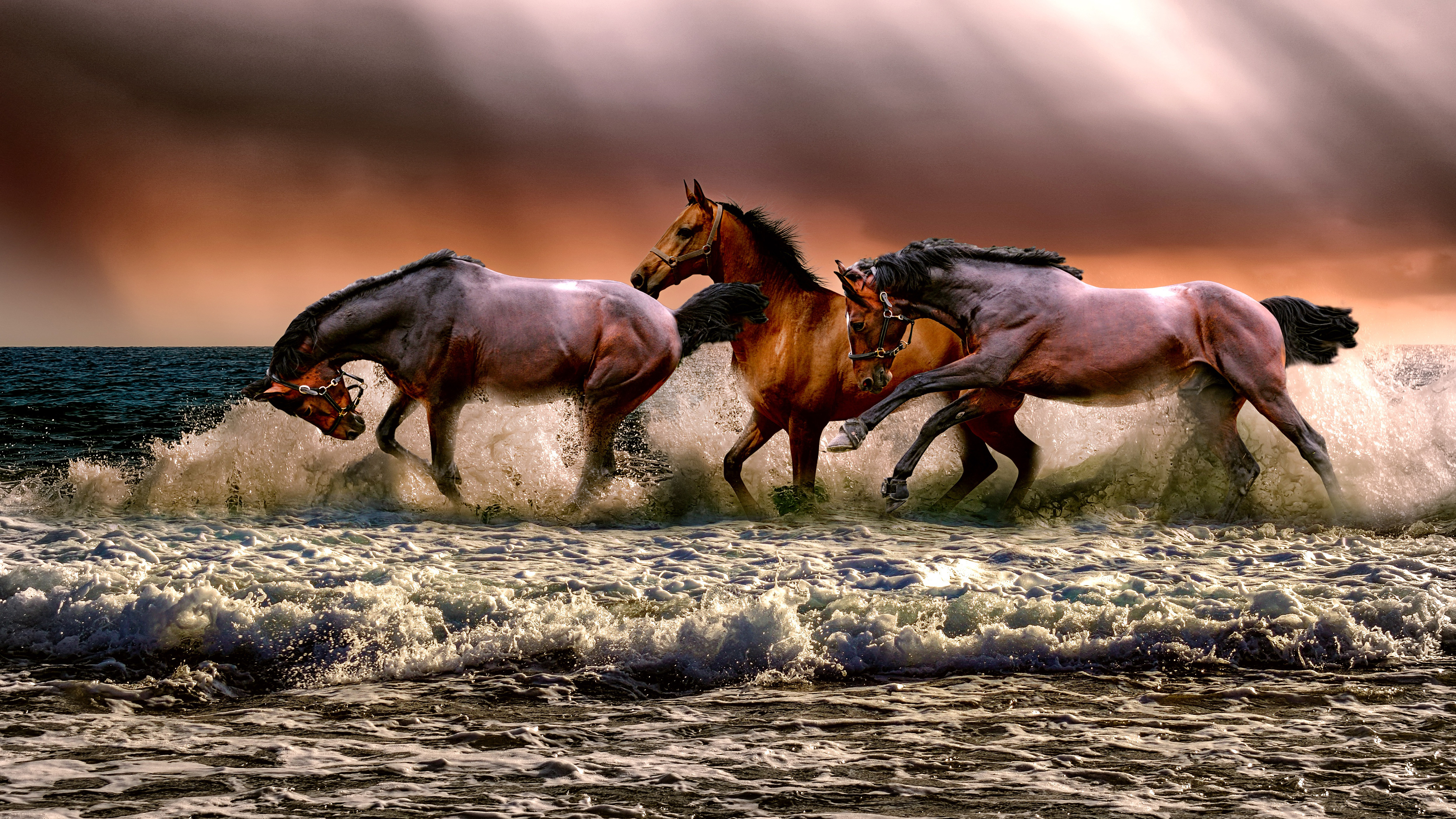 Horses Running - HD Wallpaper 
