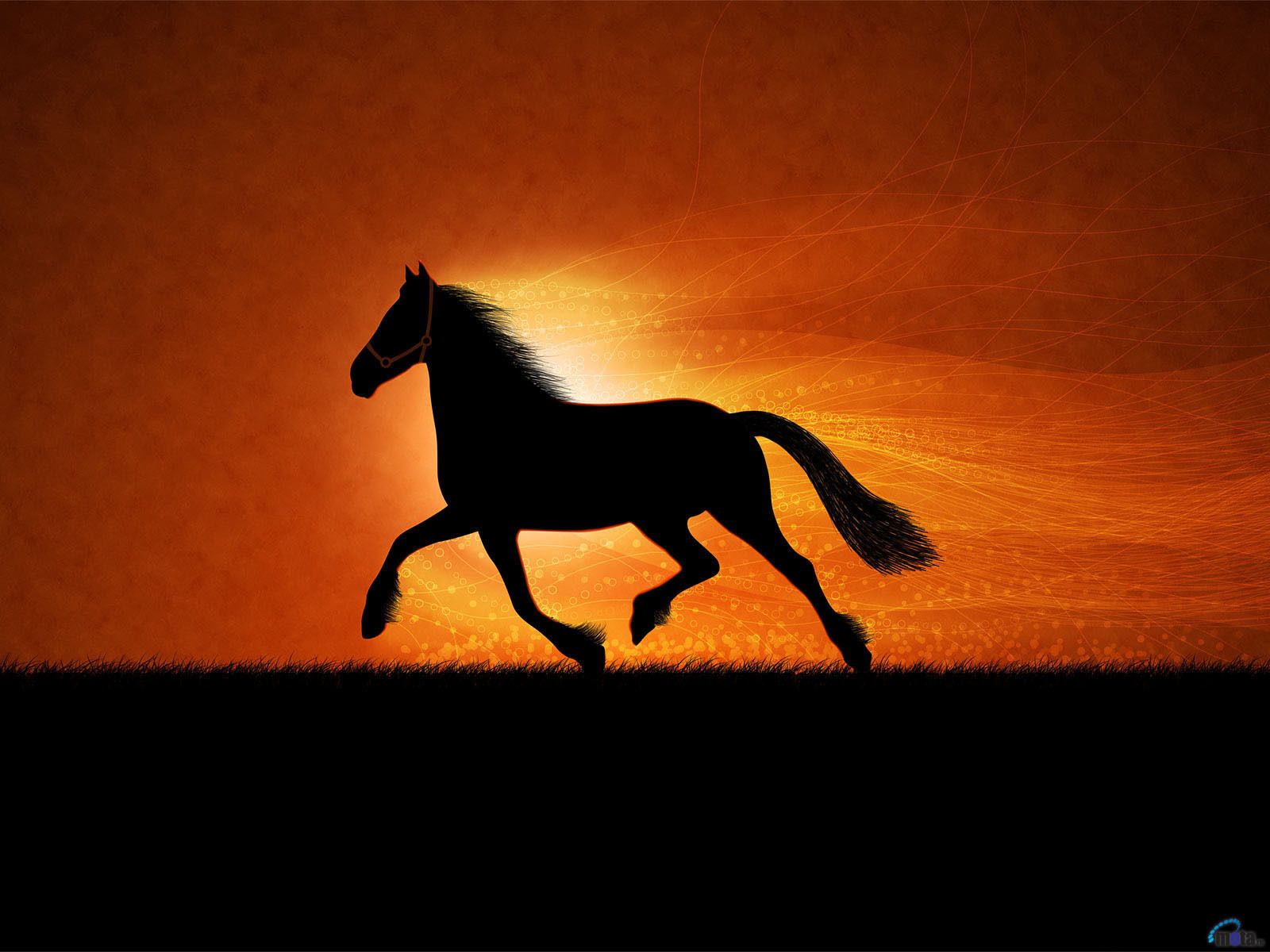 Horses Galloping In The Sunset - HD Wallpaper 