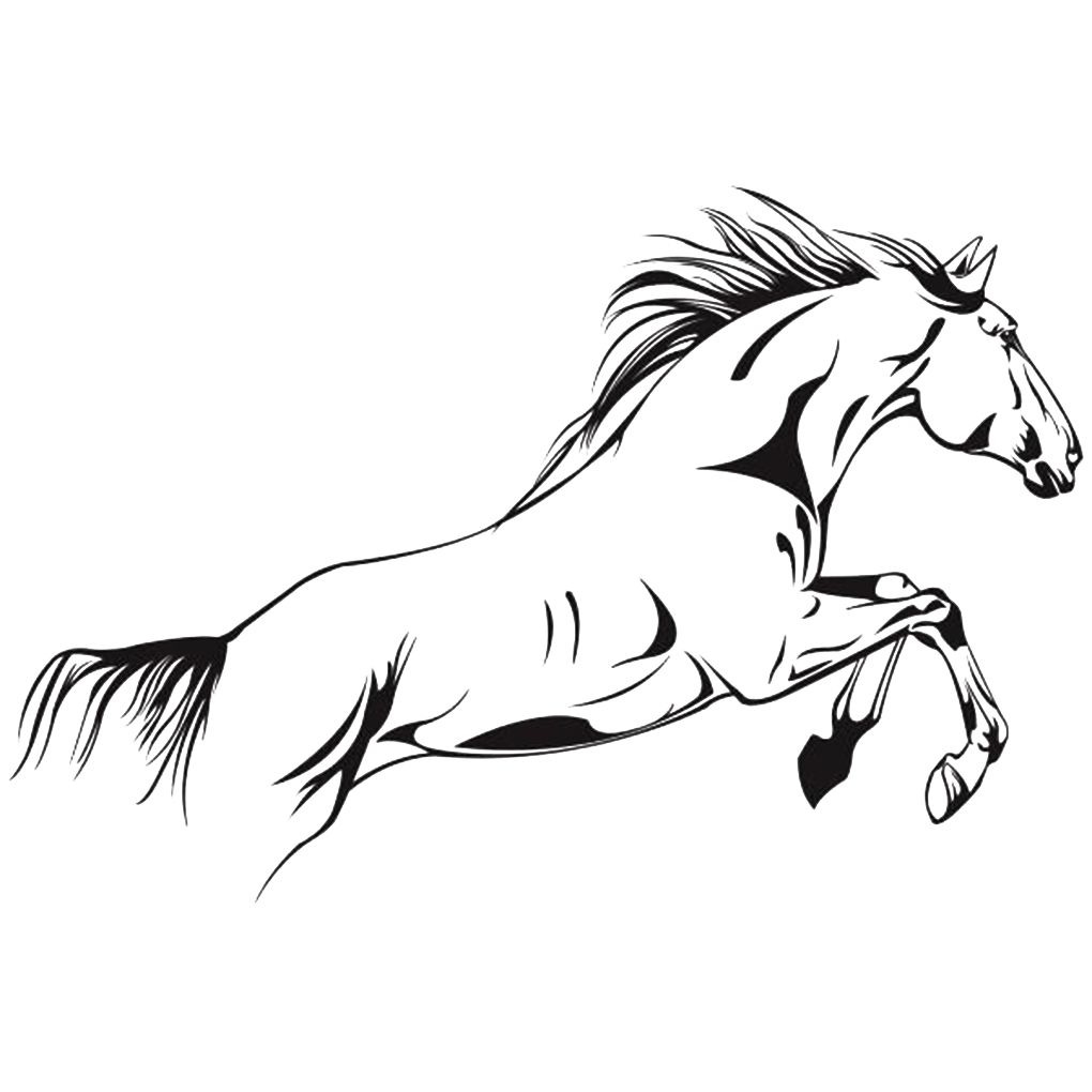 Running Horses Pictures Black And White - HD Wallpaper 