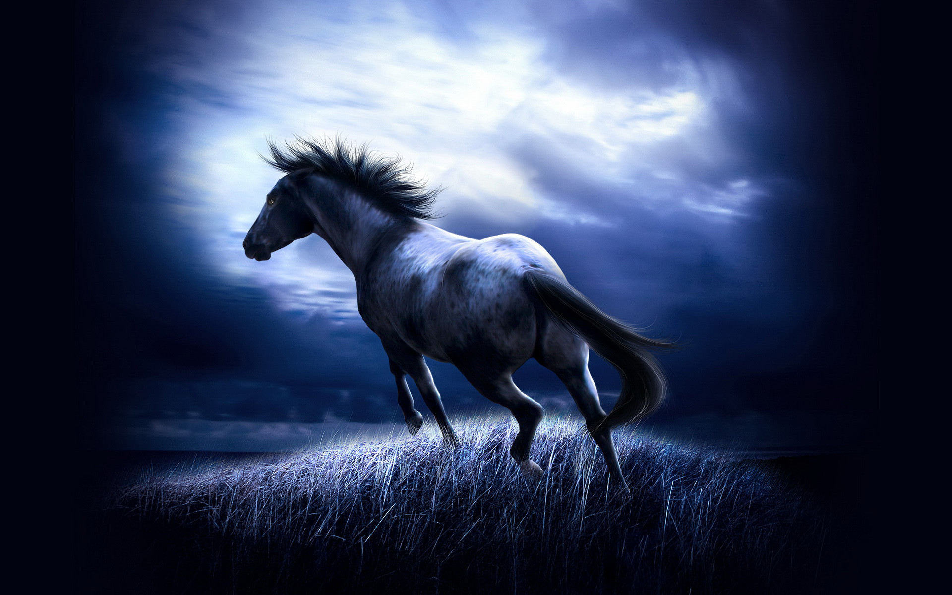 Horse Wallpaper Hd 
 Data-src - Dark Horse - HD Wallpaper 