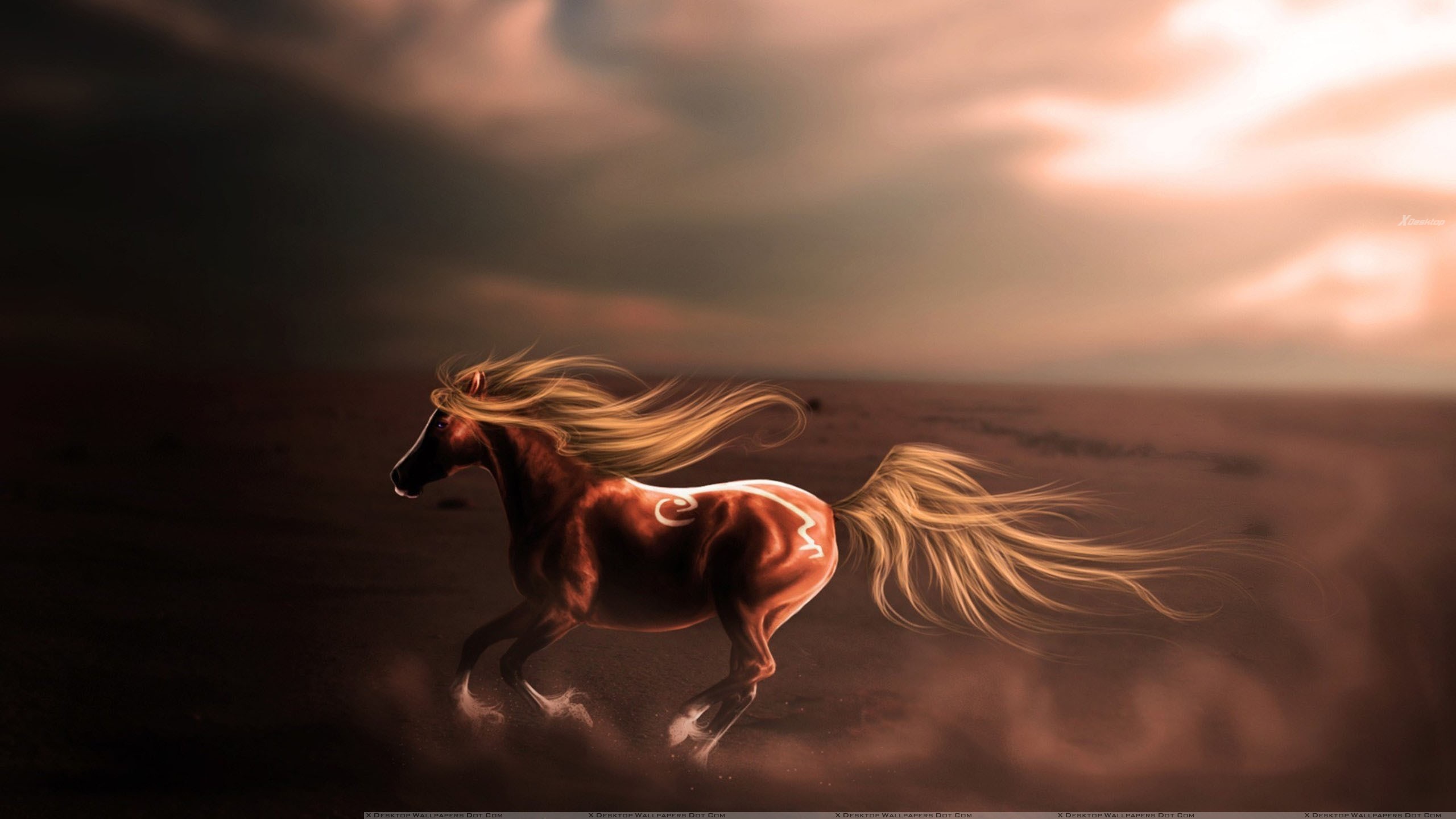 Horse In A Desert - HD Wallpaper 