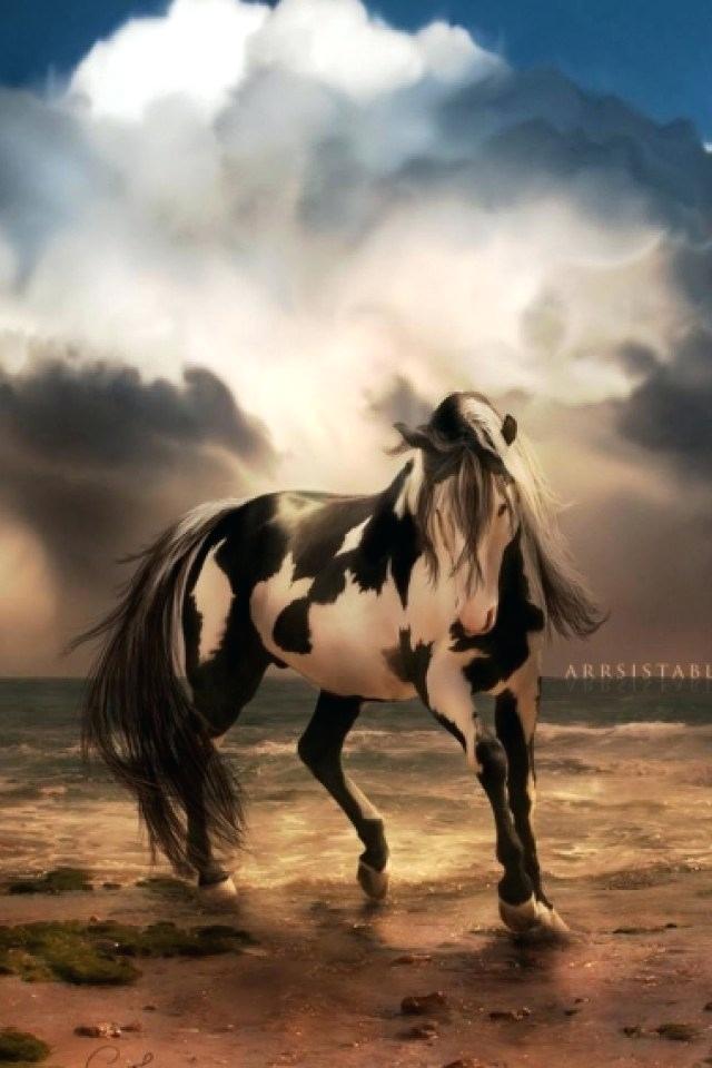 Horse Wallpaper Paint Horse Wallpaper Horse Wallpaper - Horse Wallpapers For Iphone - HD Wallpaper 