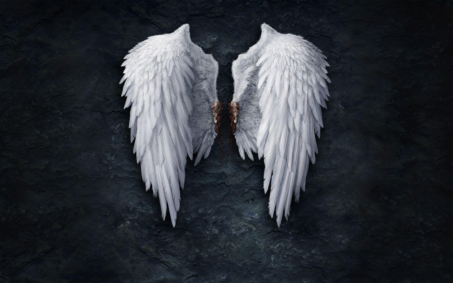 Wings Hd - HD Wallpaper 