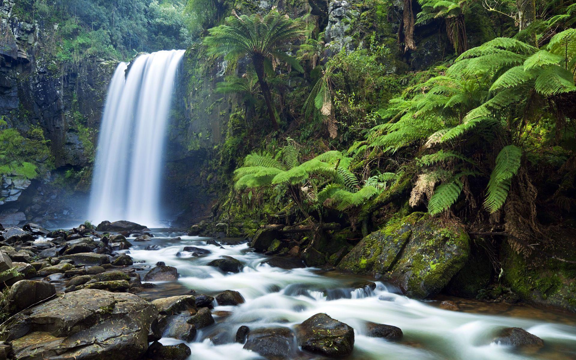 Waterfall Wallpapers Photography Hd Wallpapers - Hopetoun Falls - HD Wallpaper 