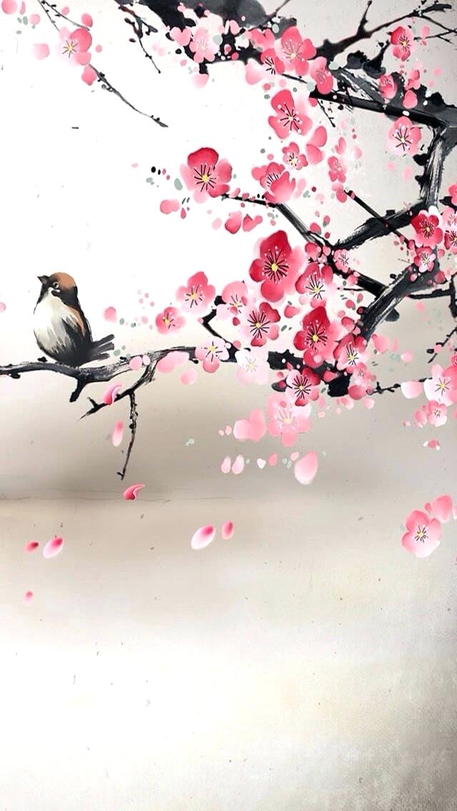 Fond D Écran Cerisier Chinois - HD Wallpaper 