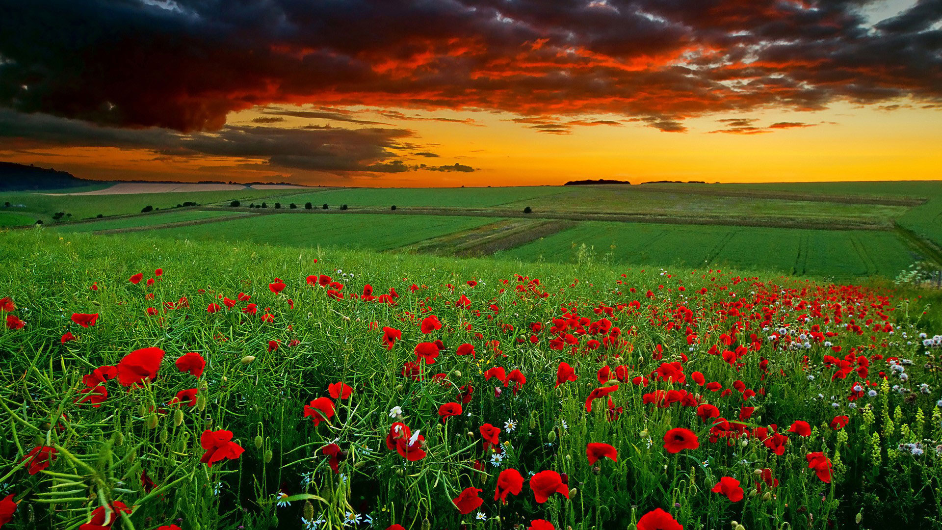3d Nature Wallpapers - Nature Pc Wallpaper 4k - 1920x1080 Wallpaper - 3d Nature Wallpapers - Nature Pc Wallpaper 4k - 1920x1080 Wallpaper -