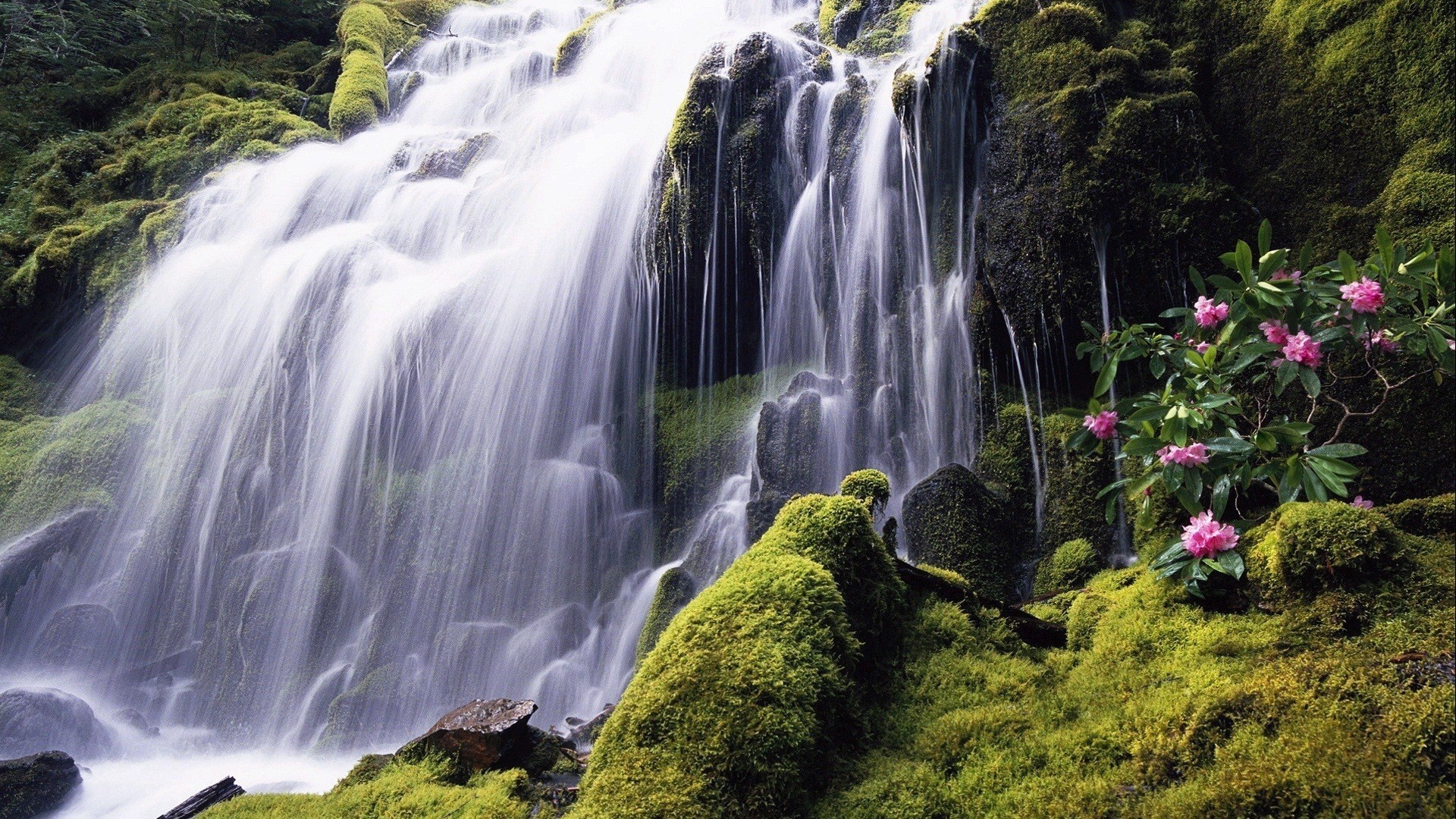 Beautiful Waterfall Of Manila Philippines Wallpaper - Beautiful Falls In The Philippines - HD Wallpaper 