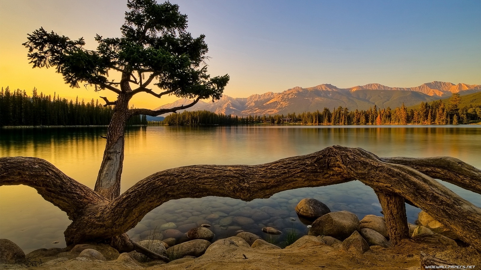 Nature Hd Wallpaper Background - HD Wallpaper 