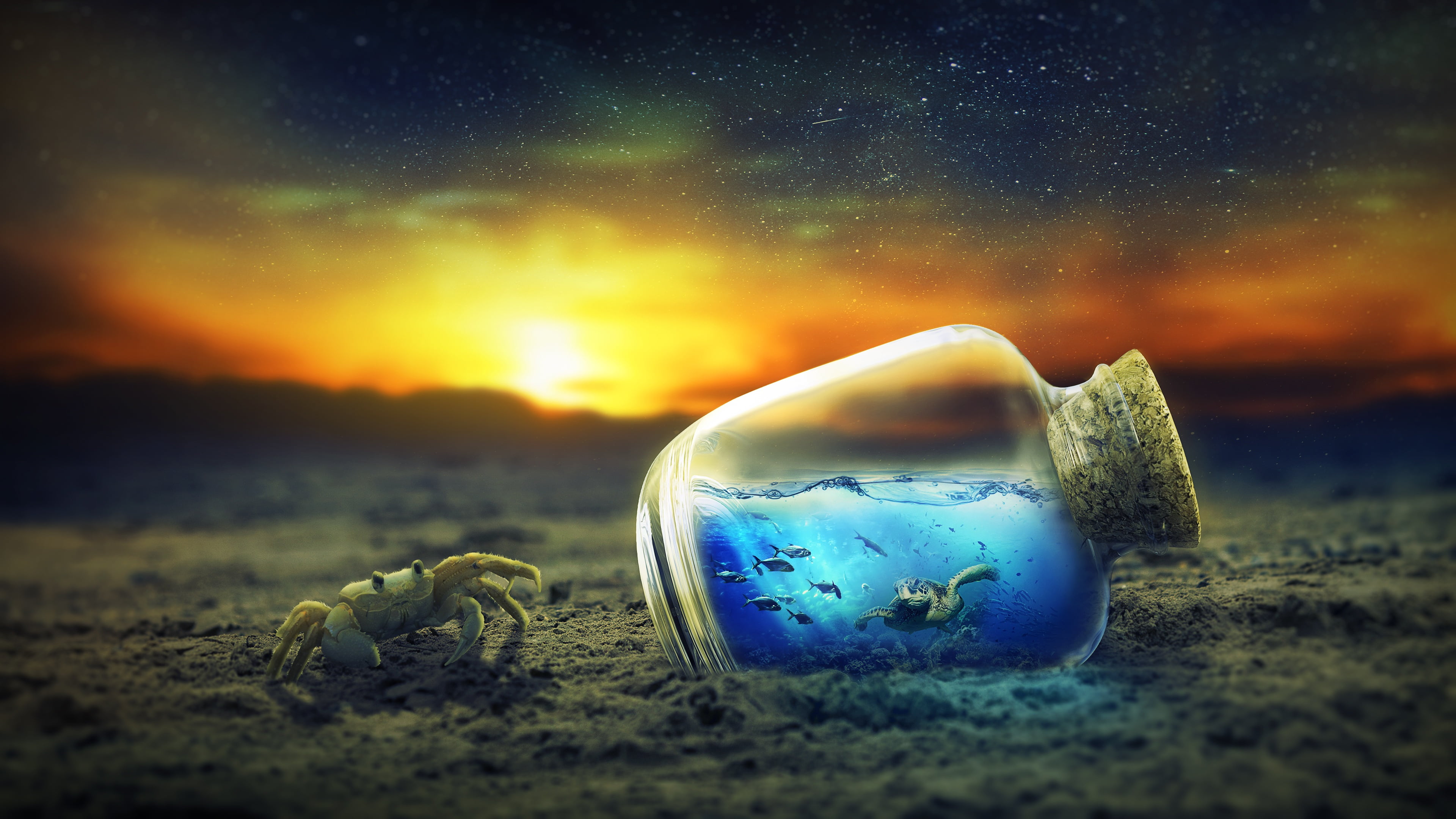 Beautiful - HD Wallpaper 