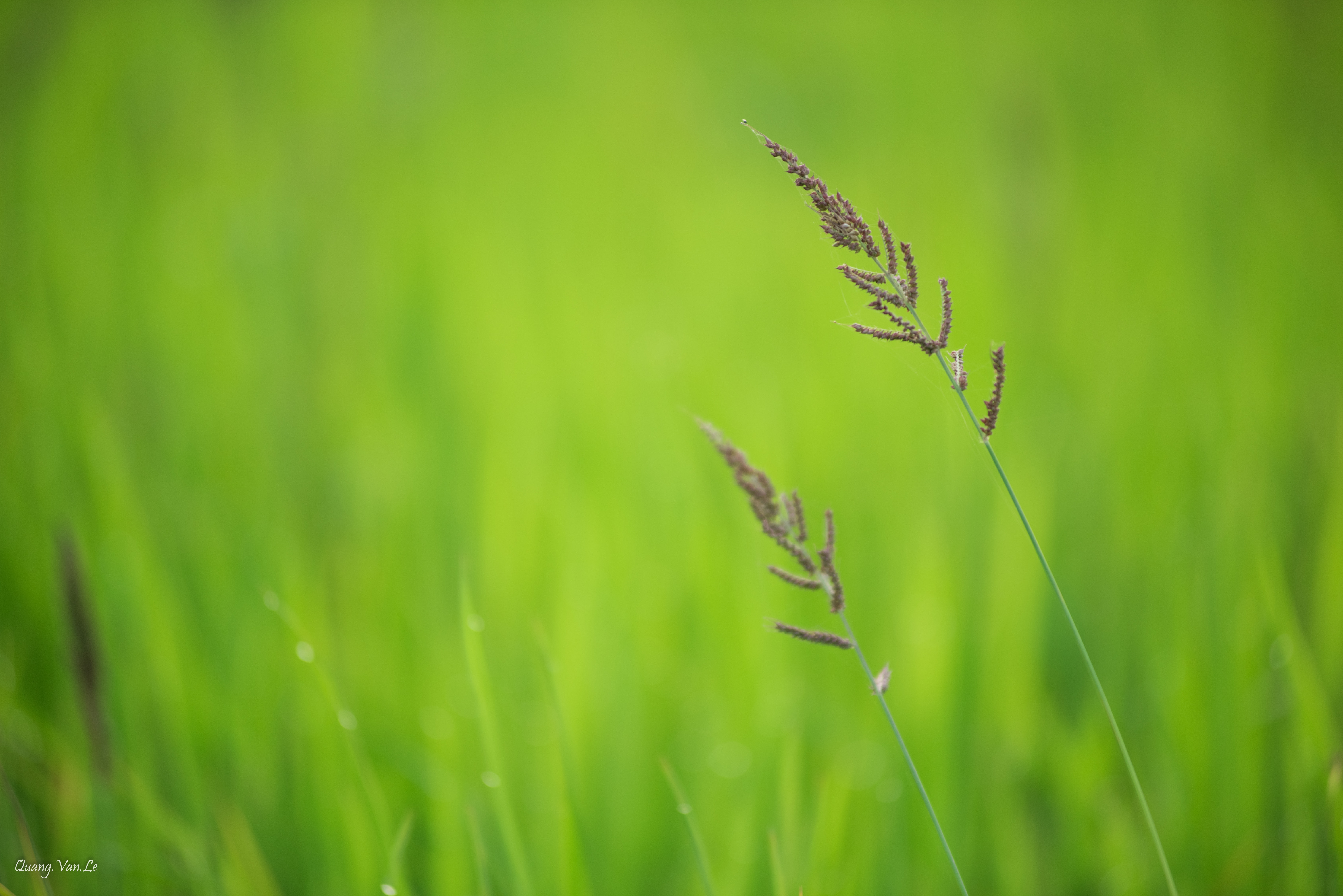 Photography Images Hd Nature - HD Wallpaper 