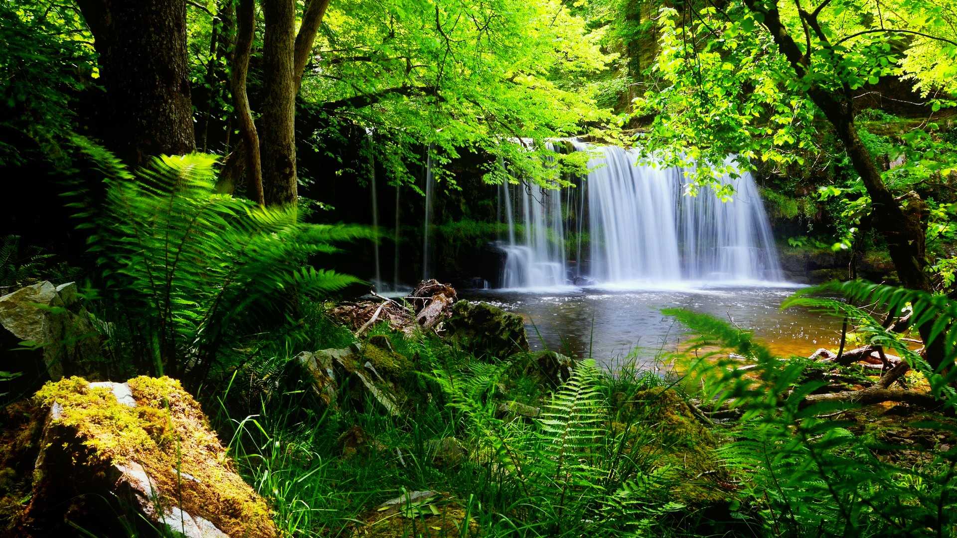 Hd Wallpapers, Landscape, Green, Cute Waterfall Desktop Backgrounds - 1920x1080 Wallpaper - teahub.io