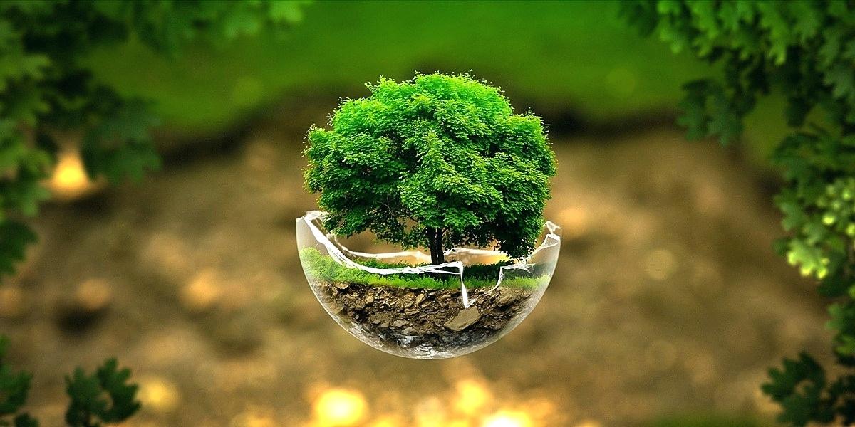 Nature Wallpaper Hd For Tablet Photography Of Download - Full Hd - 1200x600 Wallpaper Nature Wallpaper Hd For Tablet Photography Of Download - Full Hd - 1200x600 Wallpaper