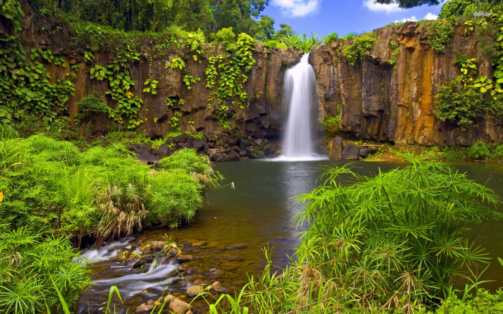 Waterfall Wallpaper Jungle - HD Wallpaper 