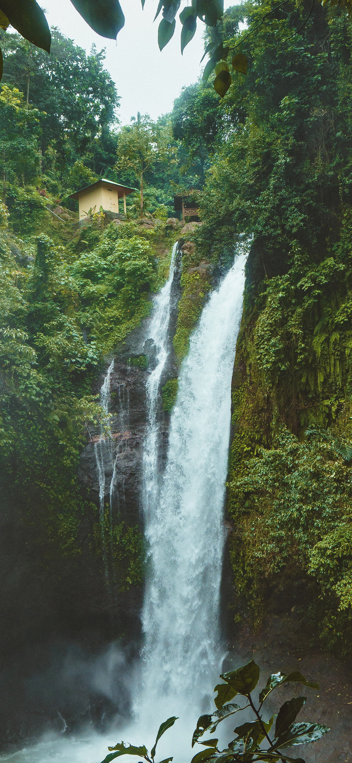Forest Waterfall Wallpaper Iphone - HD Wallpaper 