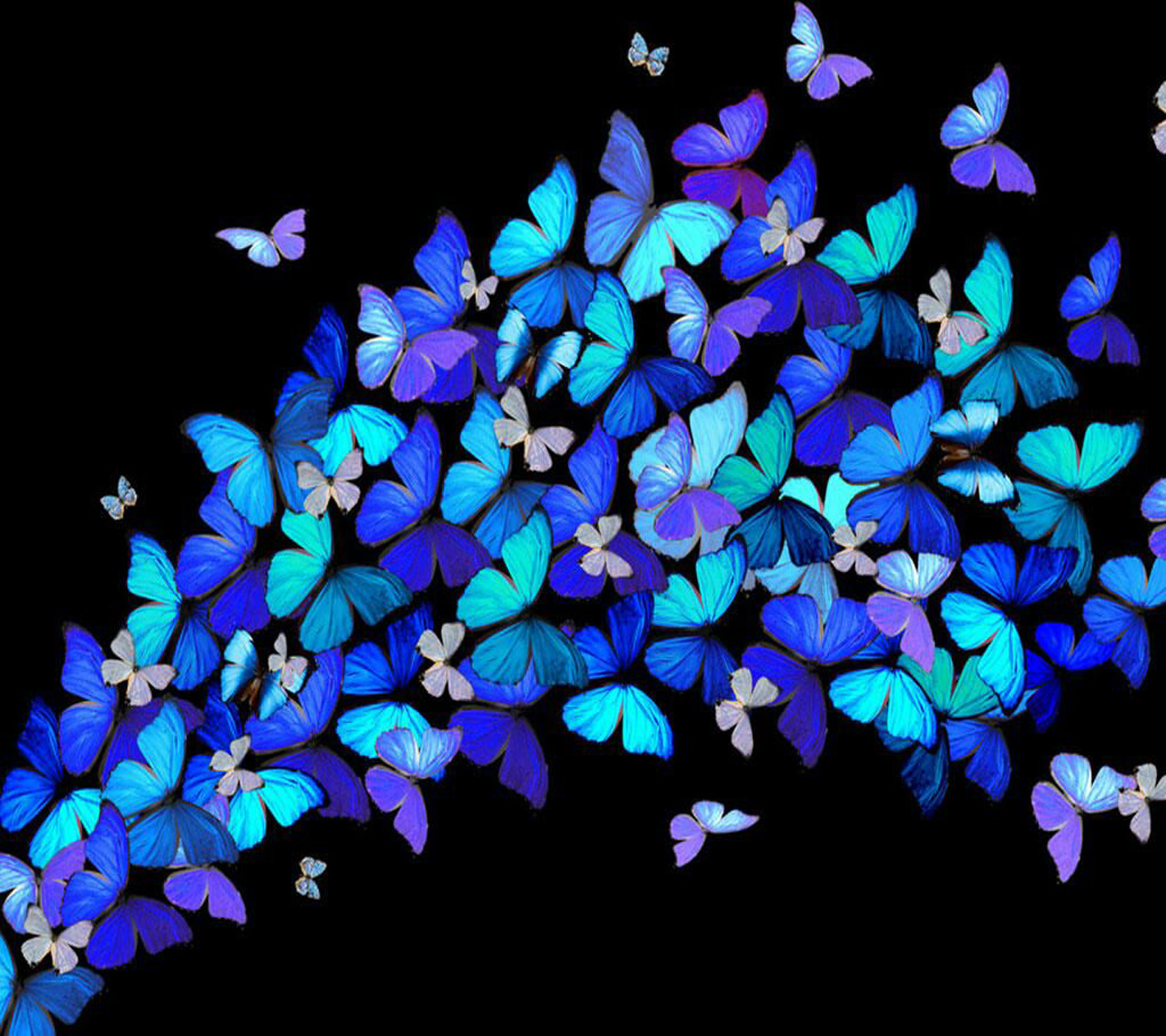 Free Download Over 32 High Quality Wallpapers Here - Background Nice Wallpapers For Phone - 1440x1280 Wallpaper Free Download Over 32 High Quality Wallpapers Here - Background Nice Wallpapers For Phone - 1440x1280 Wallpaper