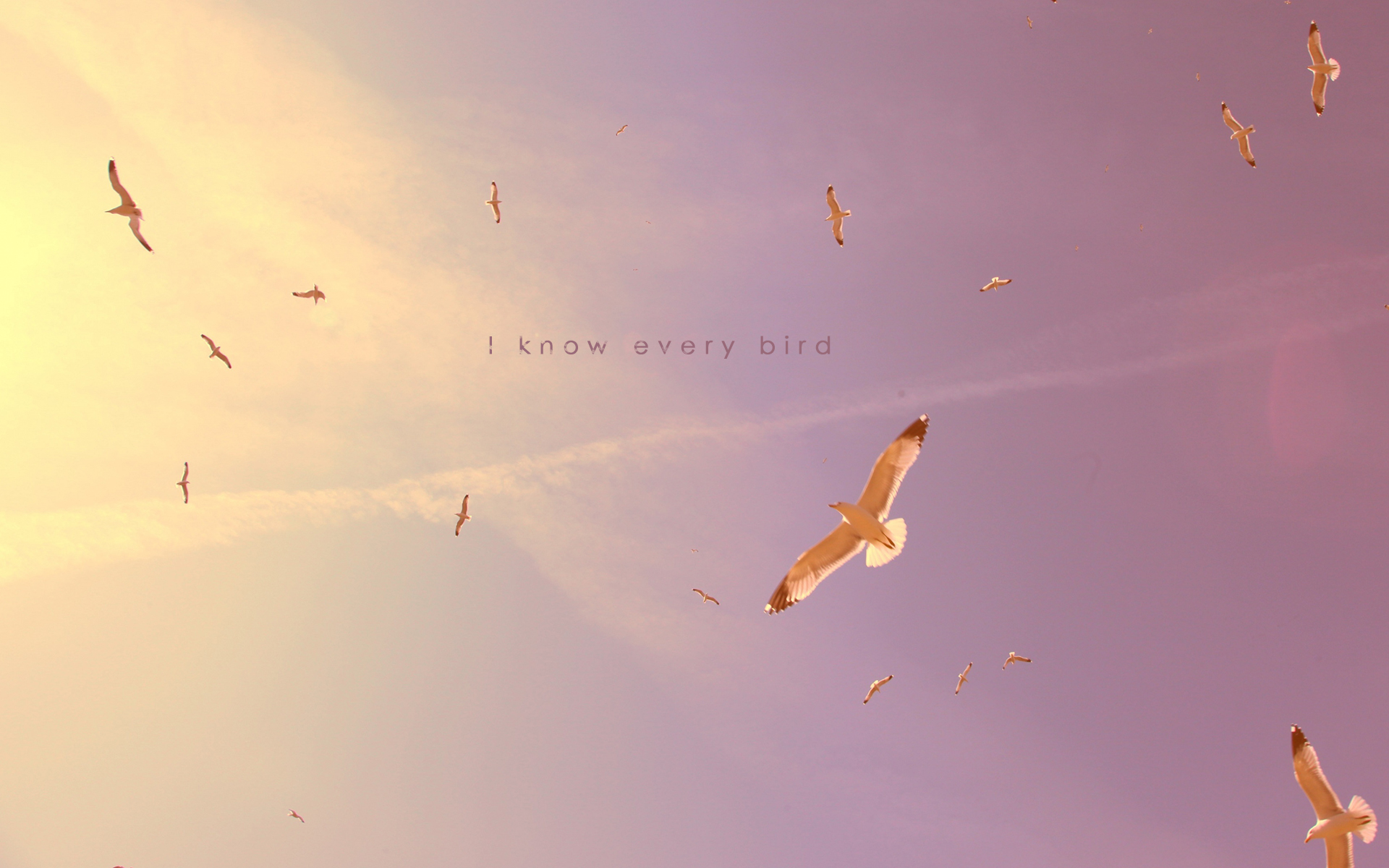 He I Wallpaper - Christian Hd - HD Wallpaper 