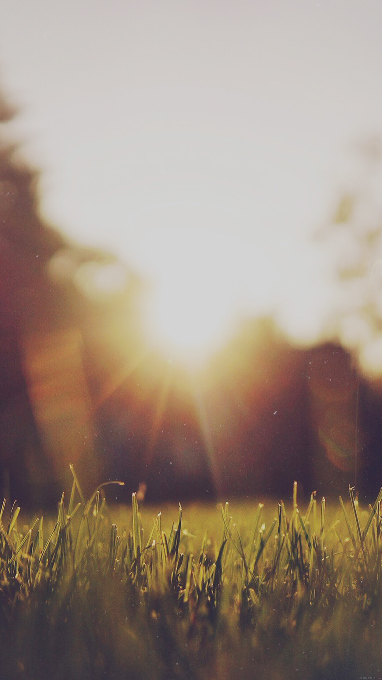 Sunshine Wallpaper Iphone - HD Wallpaper 