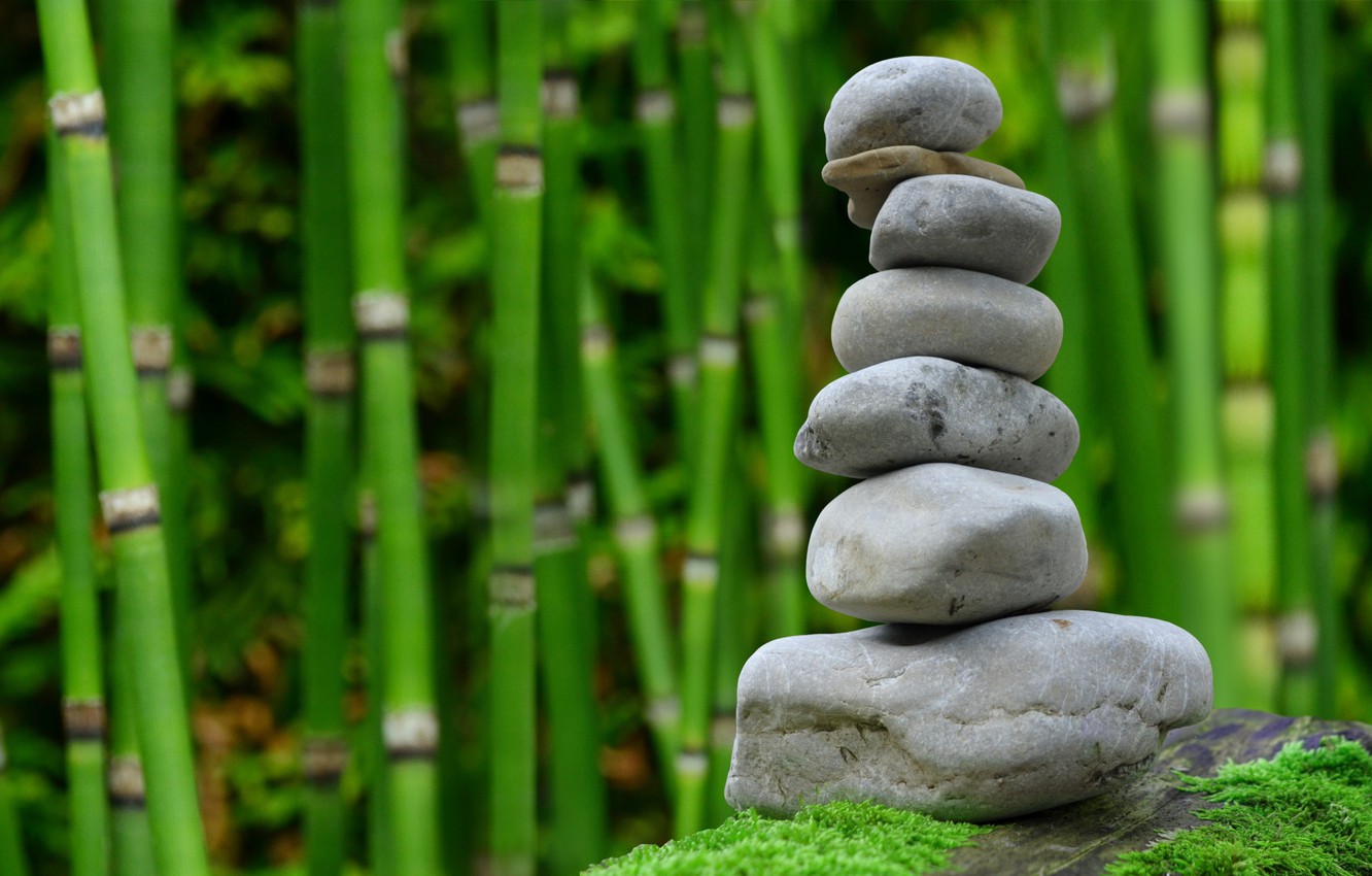 Photo Wallpaper Pyramid, Bamboo Grove, Pebbles, Zen - 厚 德 載 物 - HD Wallpaper 