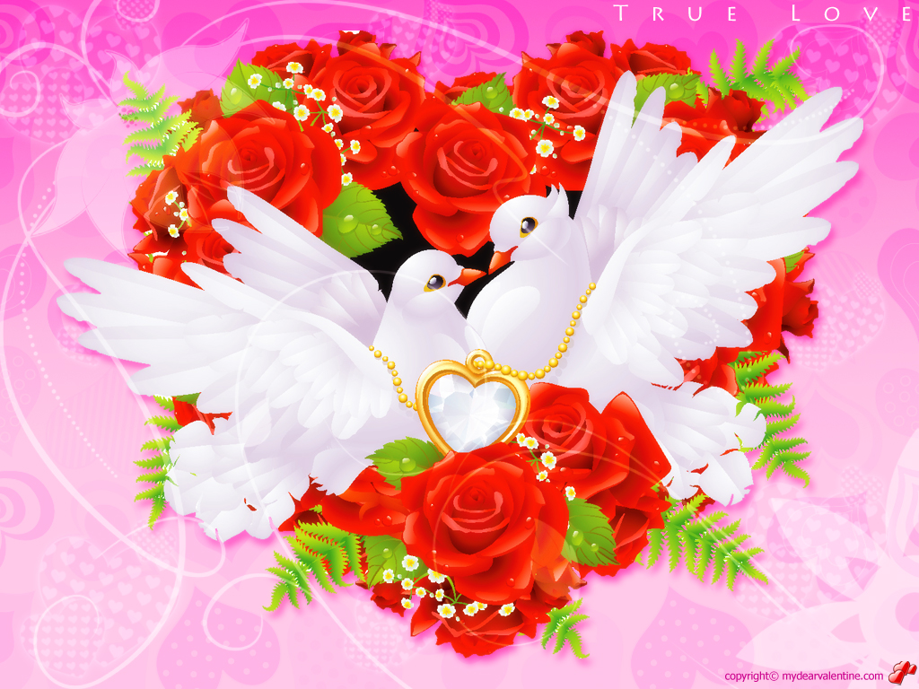 Love Birds Rose With Birds - HD Wallpaper 