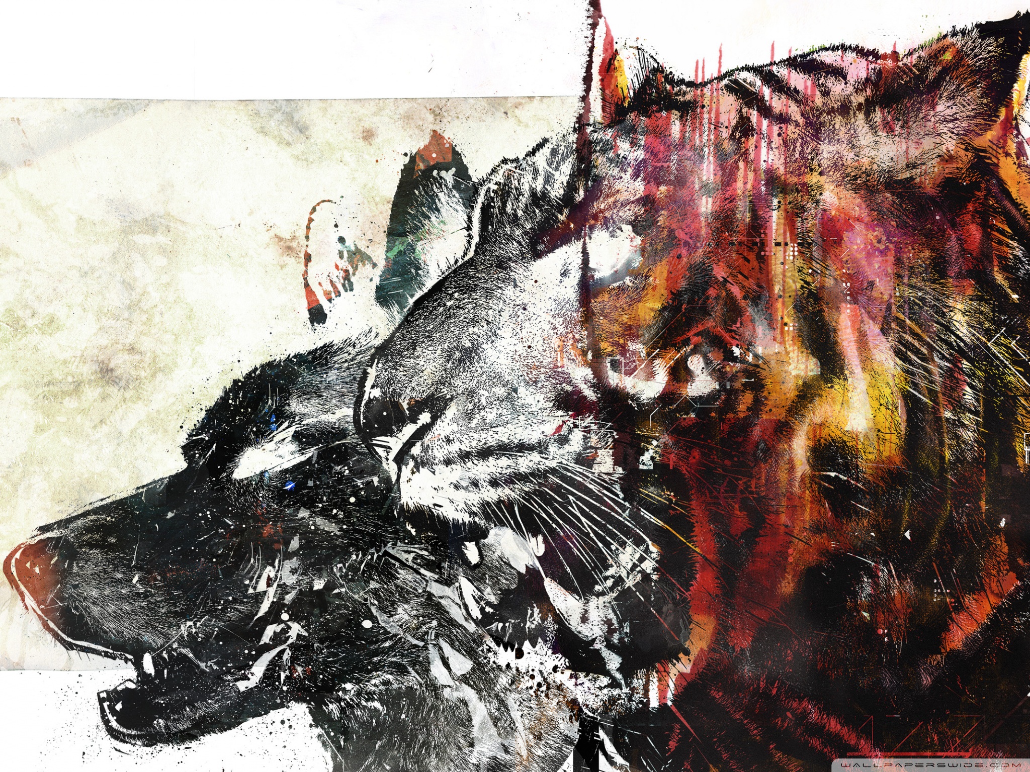 Wolf Wallpaper Hd - HD Wallpaper 