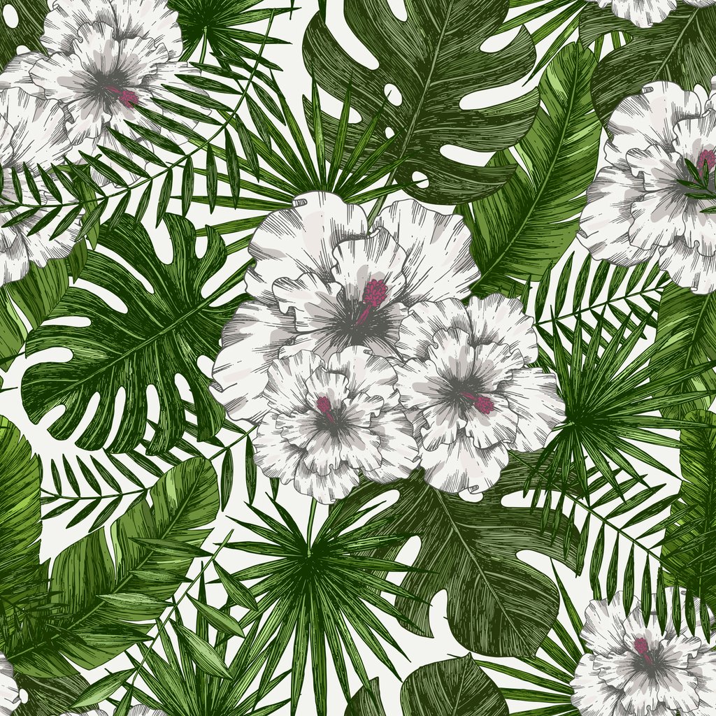 Chrysanths - HD Wallpaper 