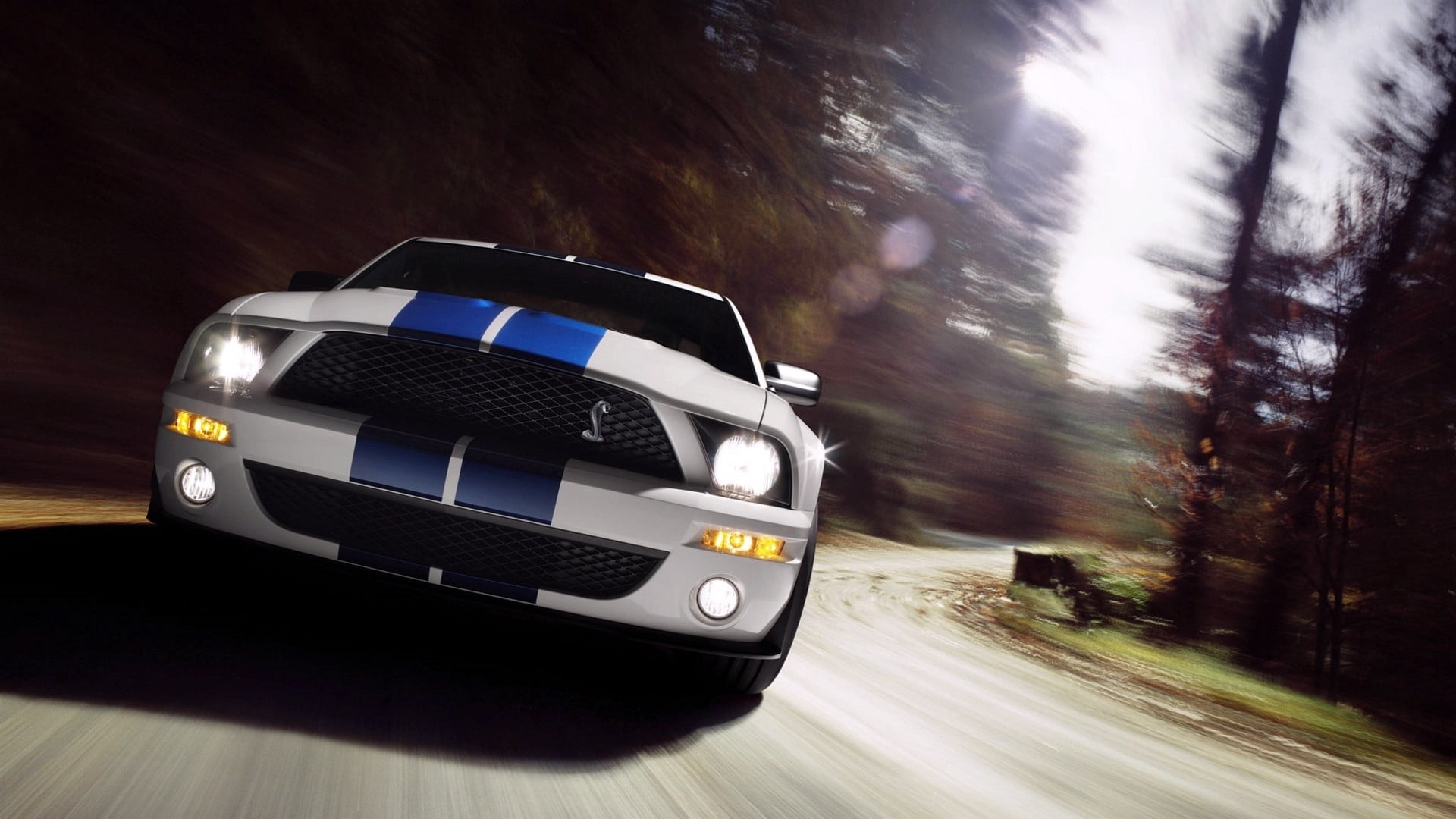 Ford Mustang Hq - HD Wallpaper 