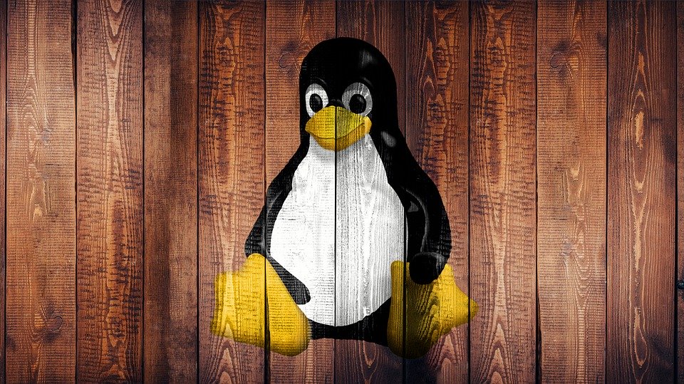 Linux, Laptop, Screen, Wallpaper, Wood, Penguin - Background Laptop Cute Penguin - HD Wallpaper 