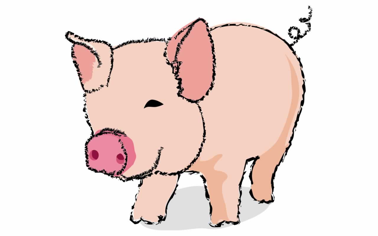 Cartoon Pig Wallpaper 22108 Hd Wallpapers In Animals - Clip Art - HD Wallpaper 