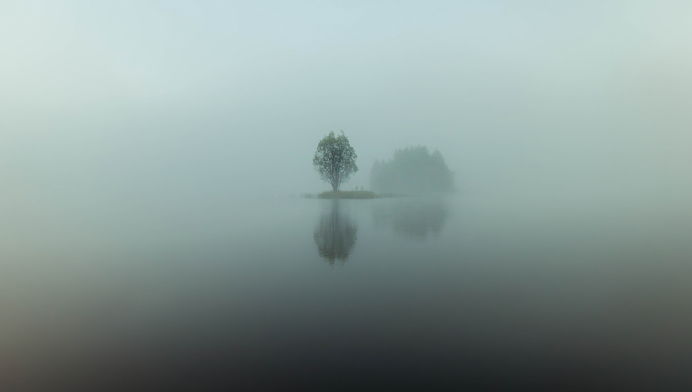 Morning, Reflection, Island, Water, Lake, Tree, Fog - Fog Wallpaper Desktop Mist - HD Wallpaper 