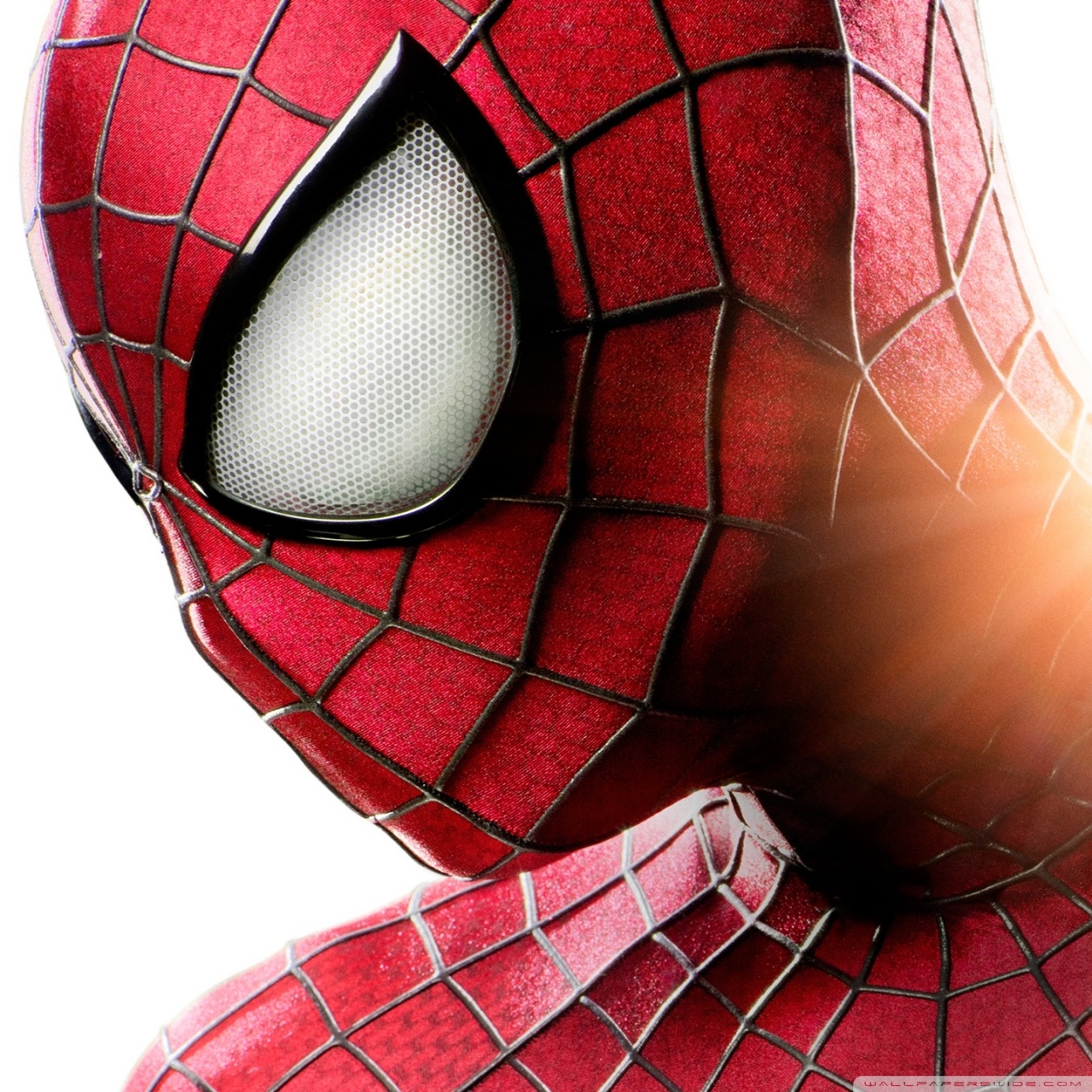 The Amazing Spider Man Wallpaper - HD Wallpaper 